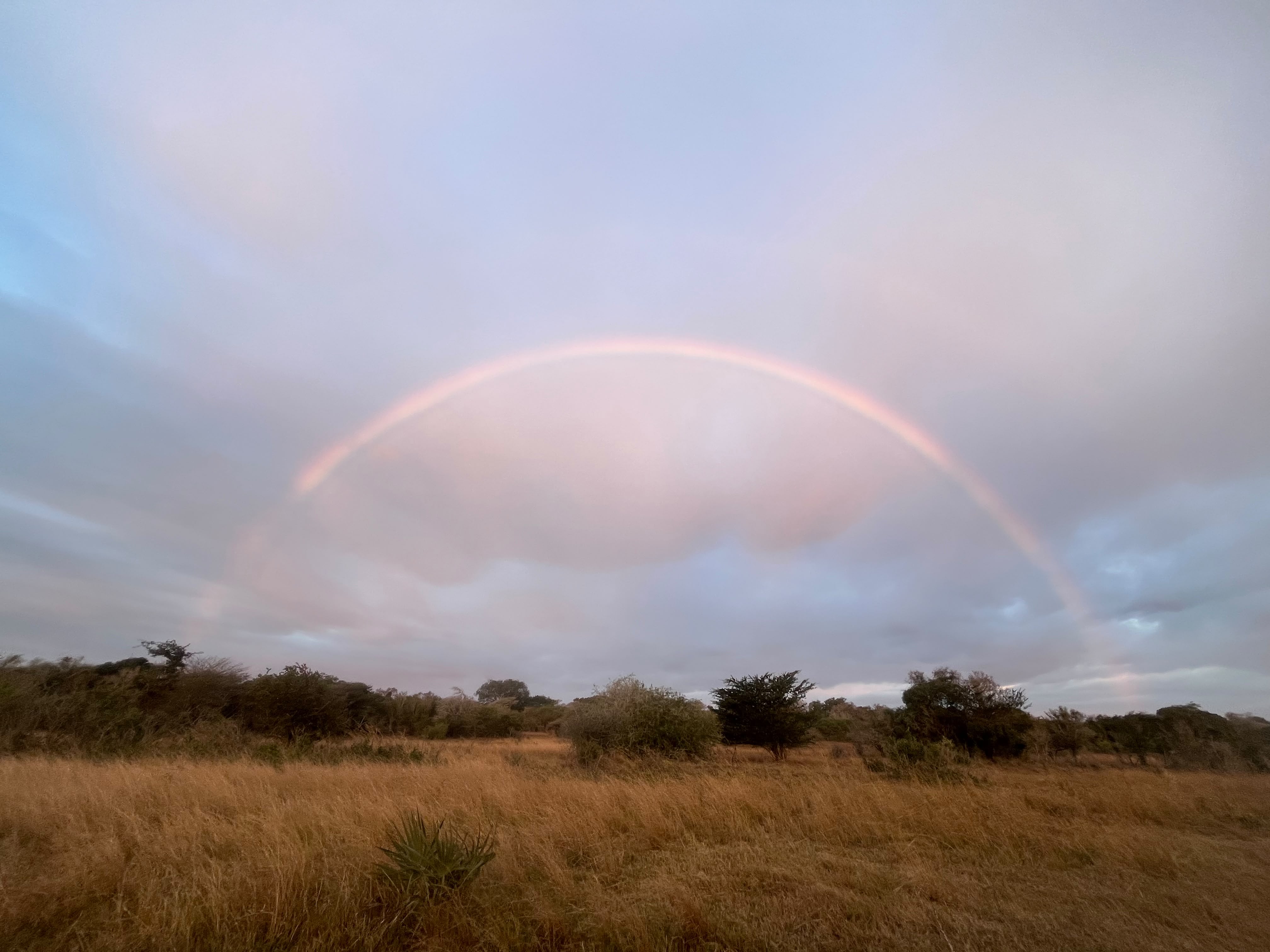 Rainbow out in the bush