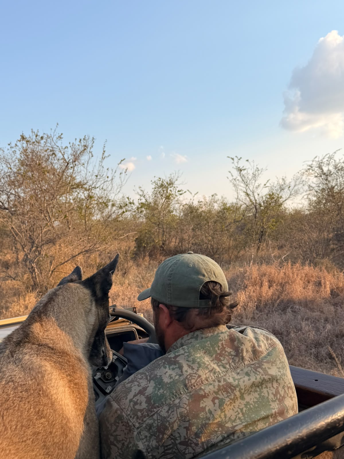 Guide and anti-poaching dog in vehicle on Vikela project - Kacey Connolly