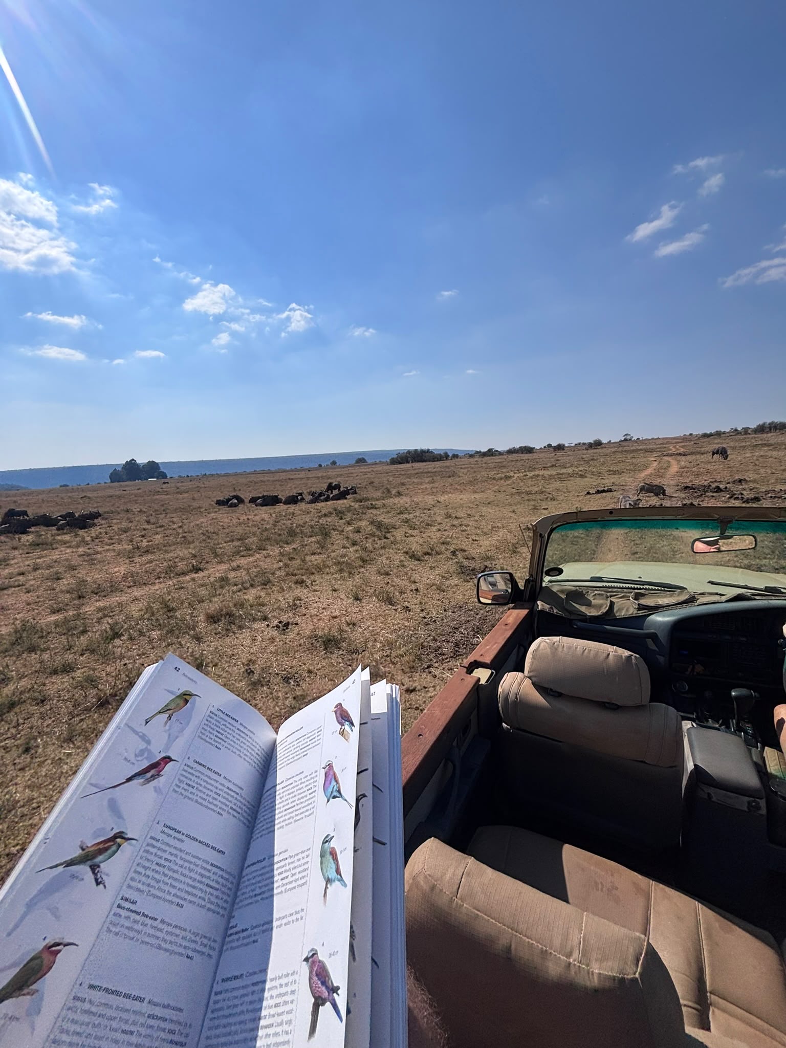 Monitoring for birds on game drive at Golola - Casey Sims