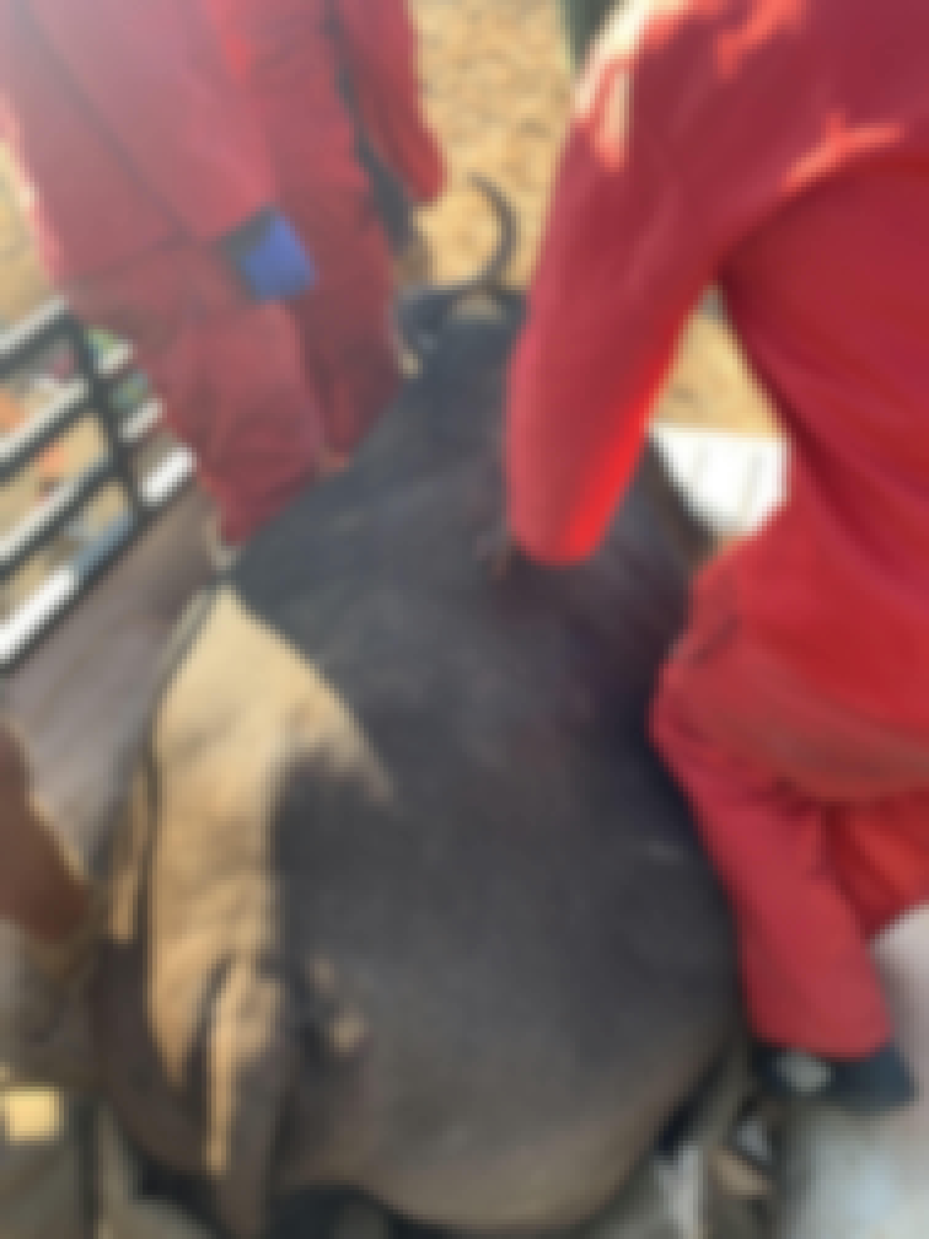 Siske Loggie: veterinary work