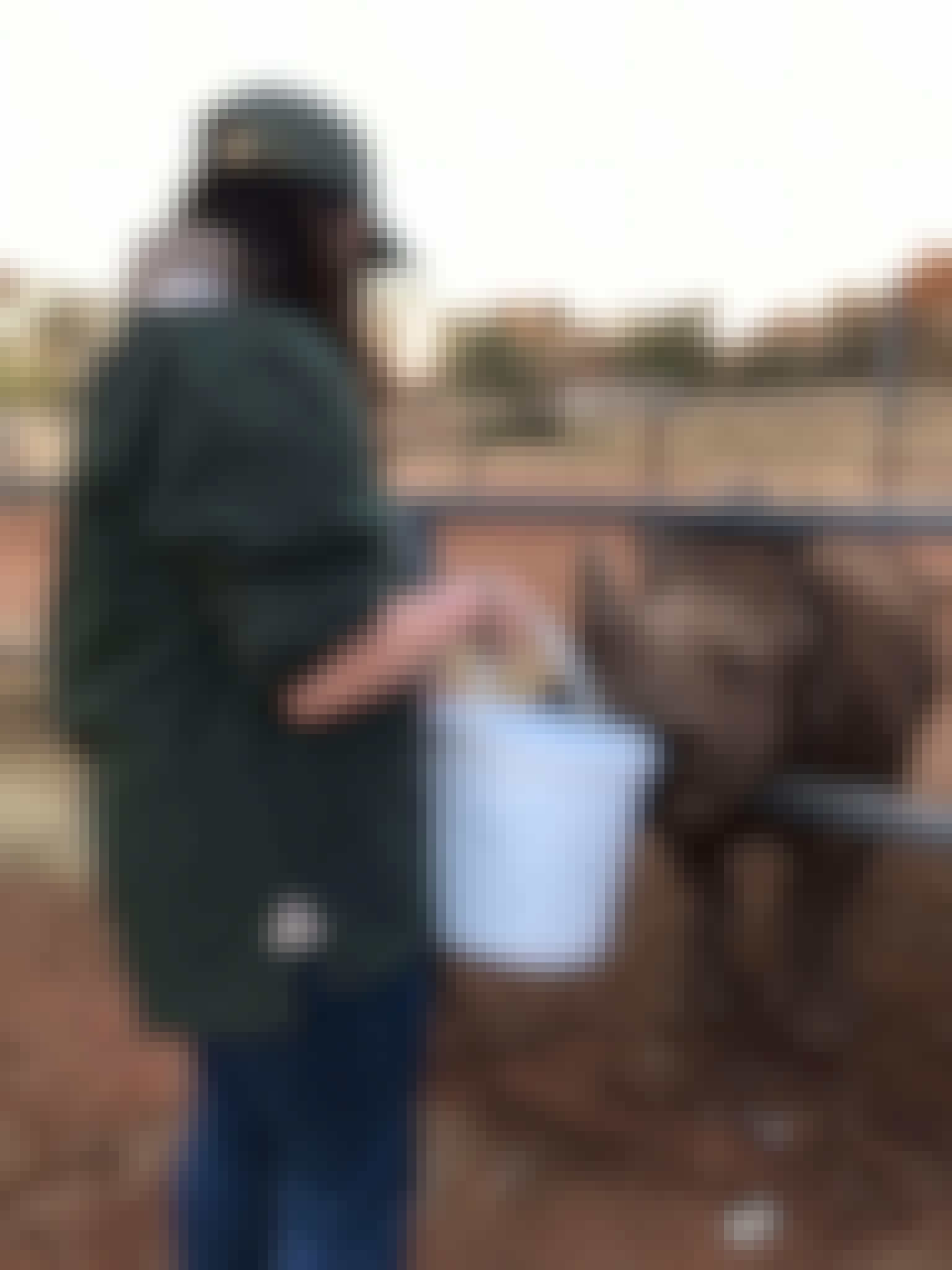 Siske Loggie: feeding rhinos