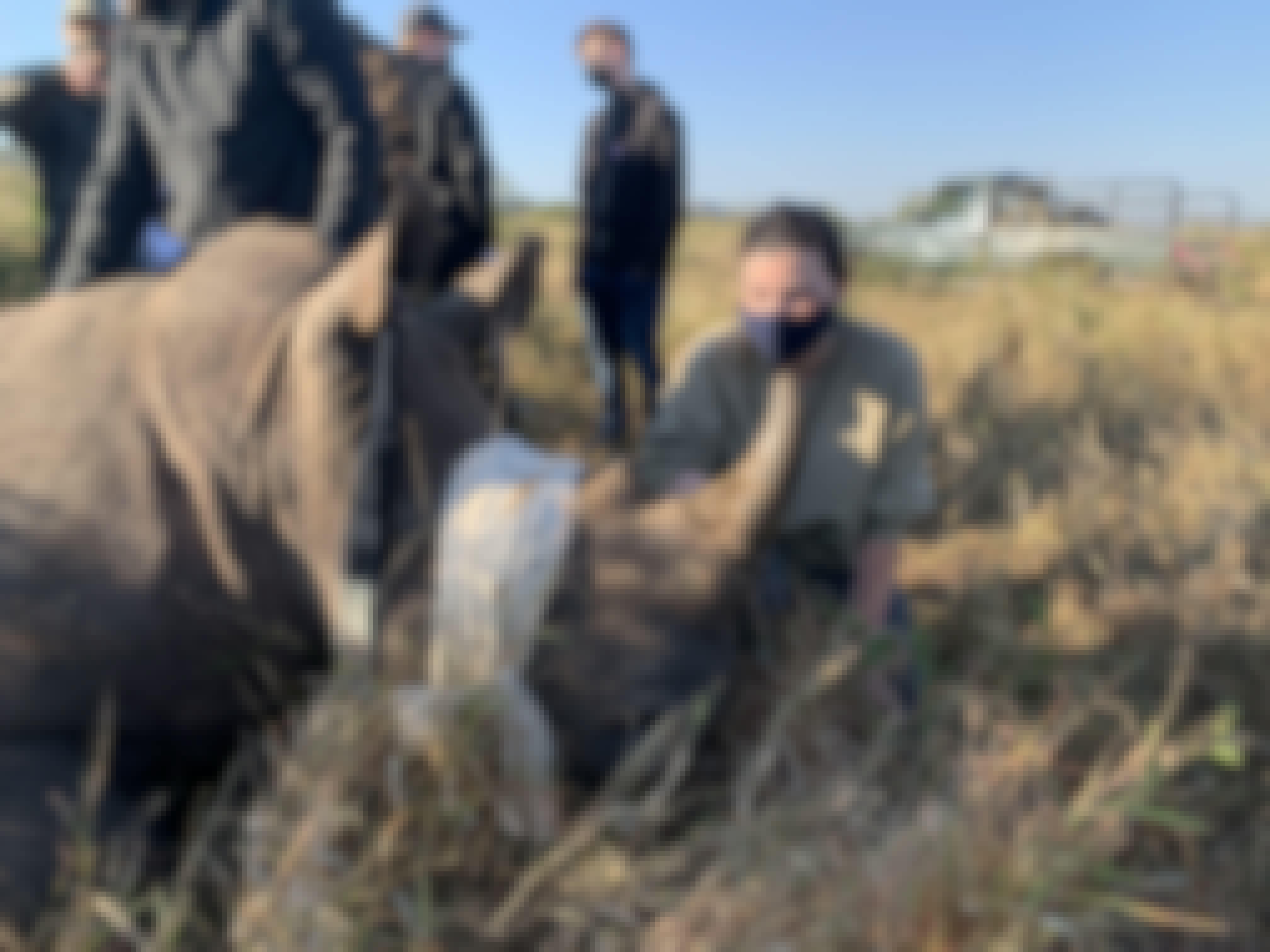 Siske Loggie: working on a sedated rhino