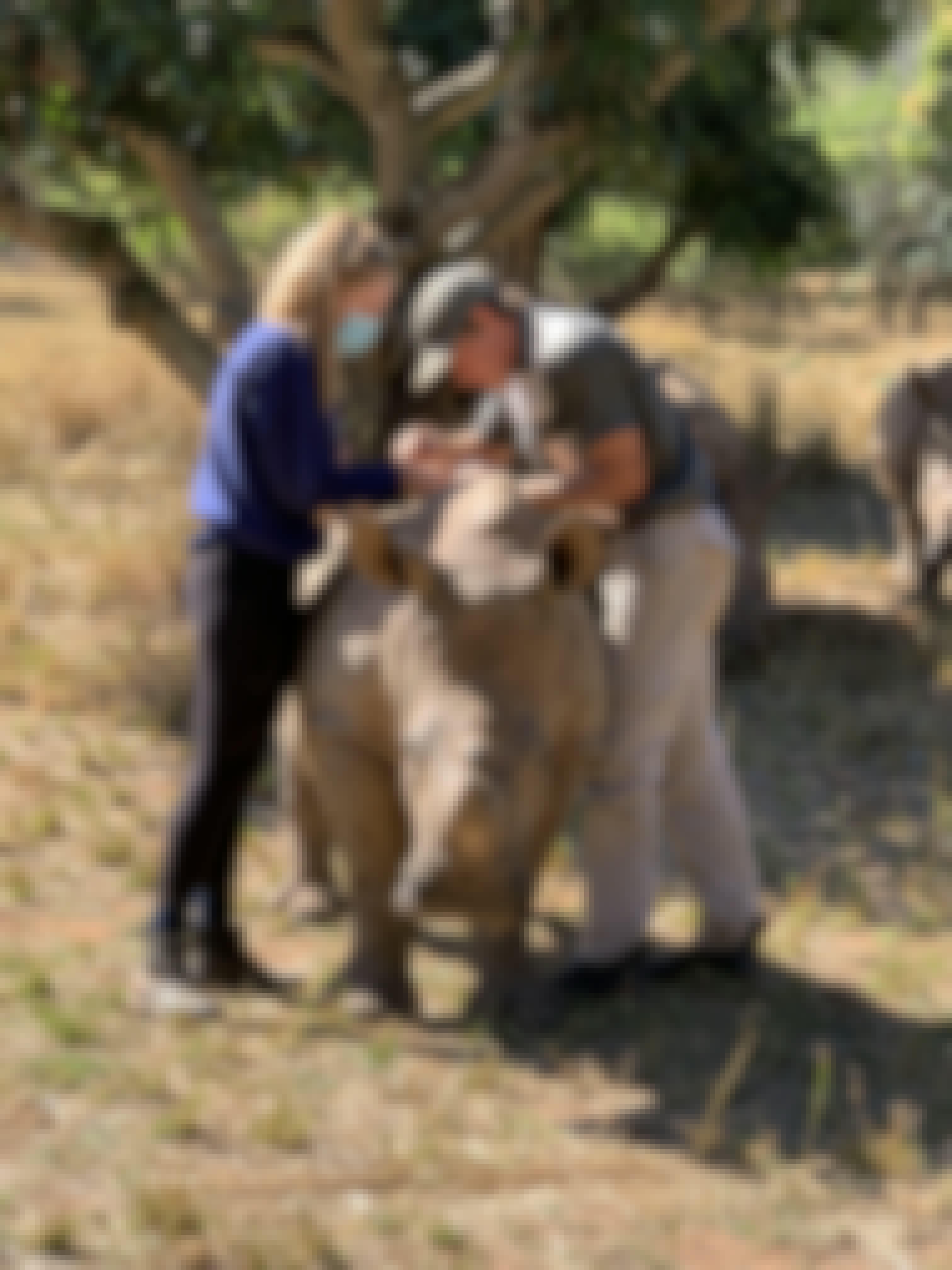 Siske Loggie: ACE volunteer helping a vet work on a baby rhino
