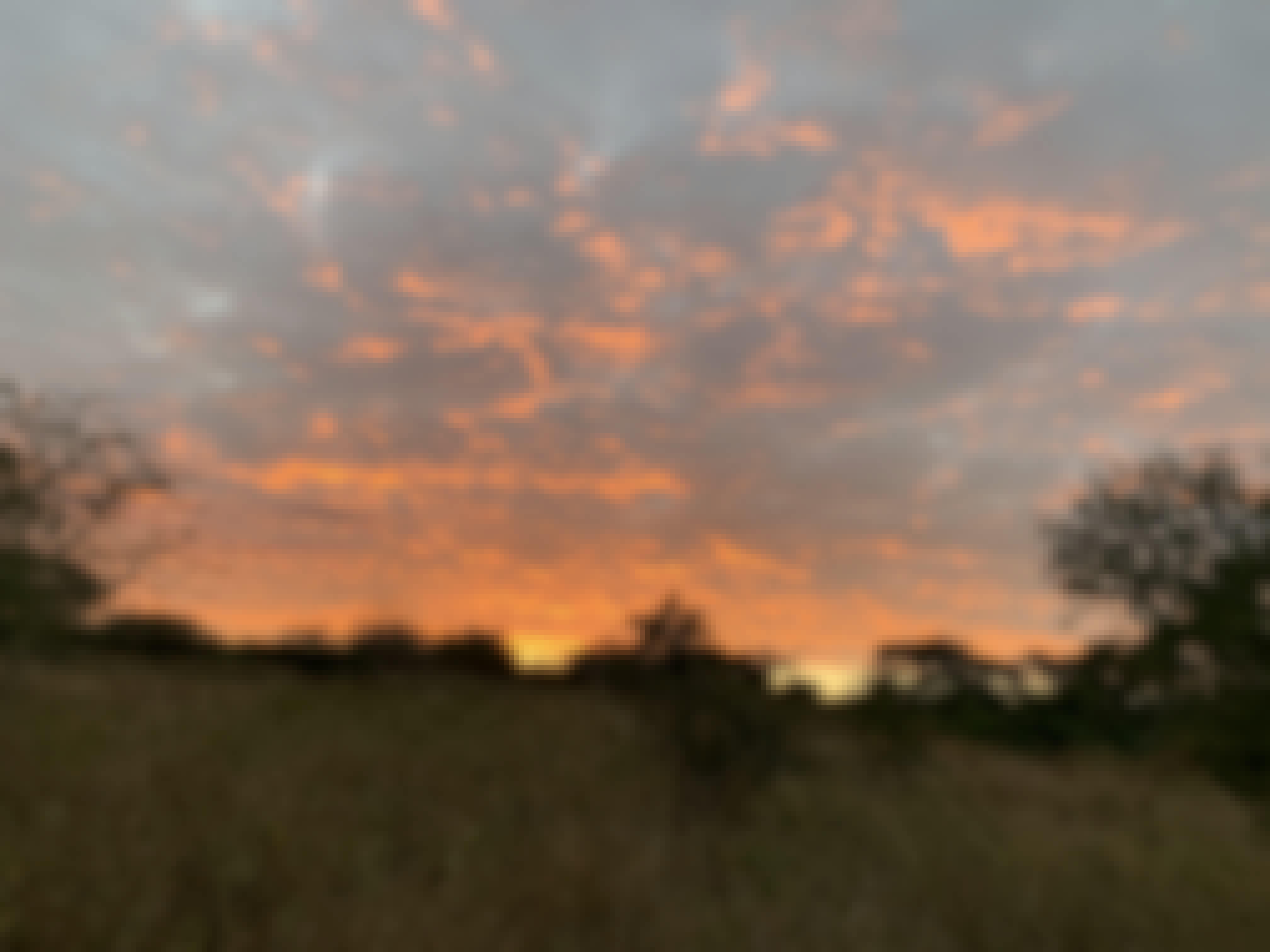 Siske Loggie: sunset