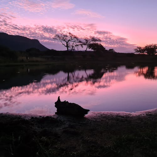 Mira van Duin: sunset landscape