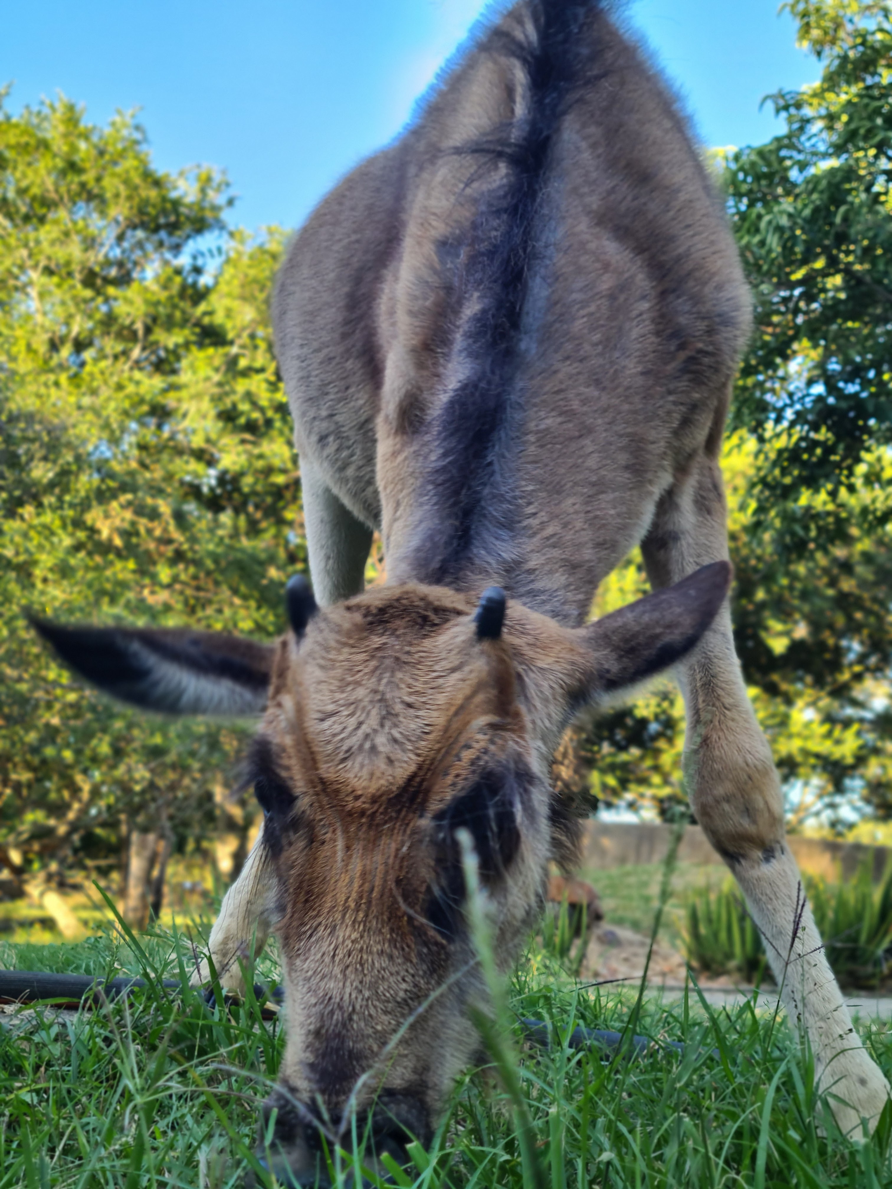 Mira van Duin: close-up