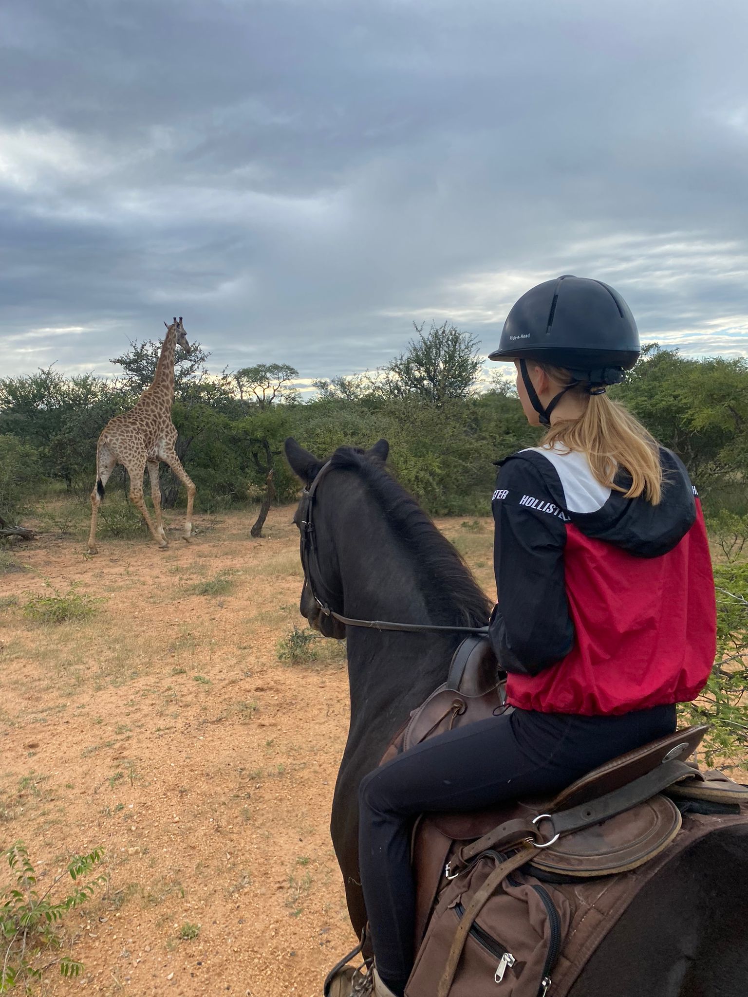 Mira van Duin: horseback viewing giraffe