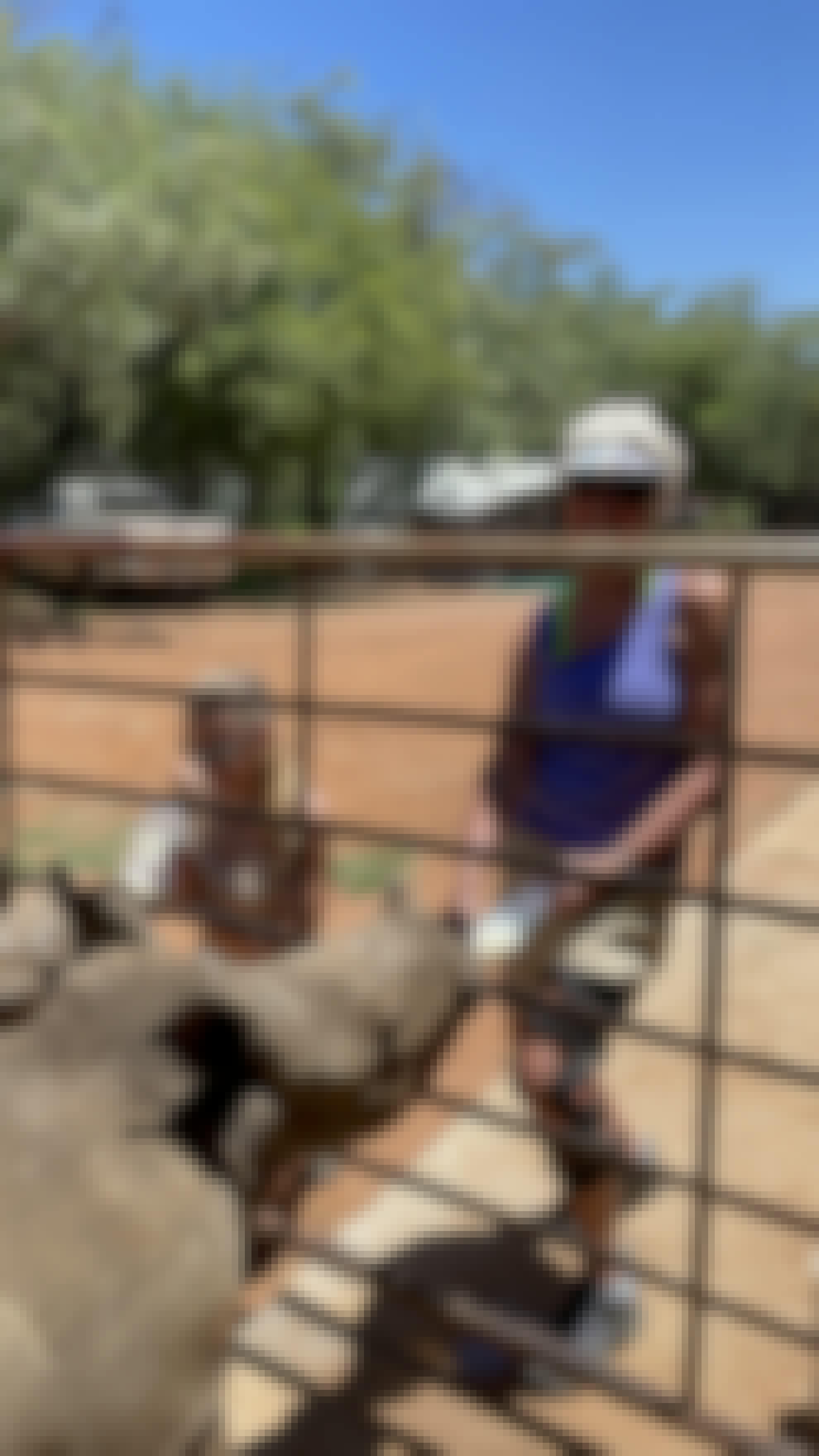 Frances Watson: bottle feeding rhinos