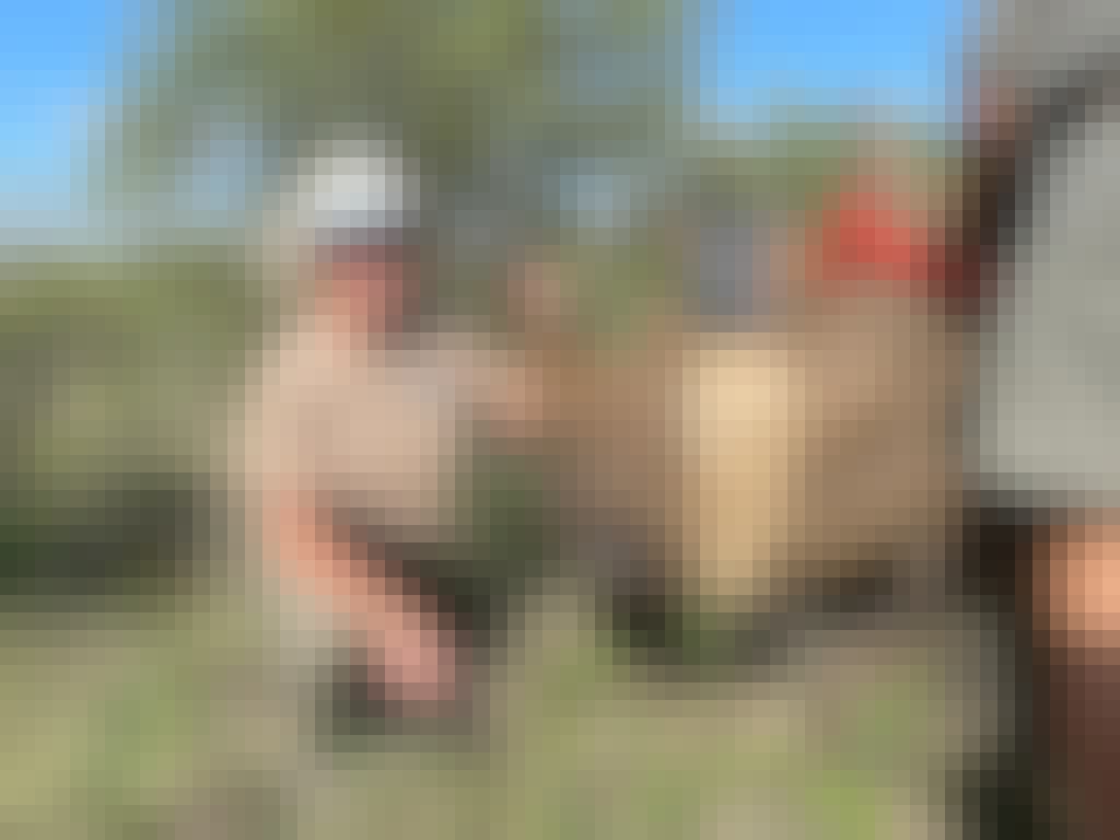 Frances Watson: posing next to a sedated rhino after dehorning
