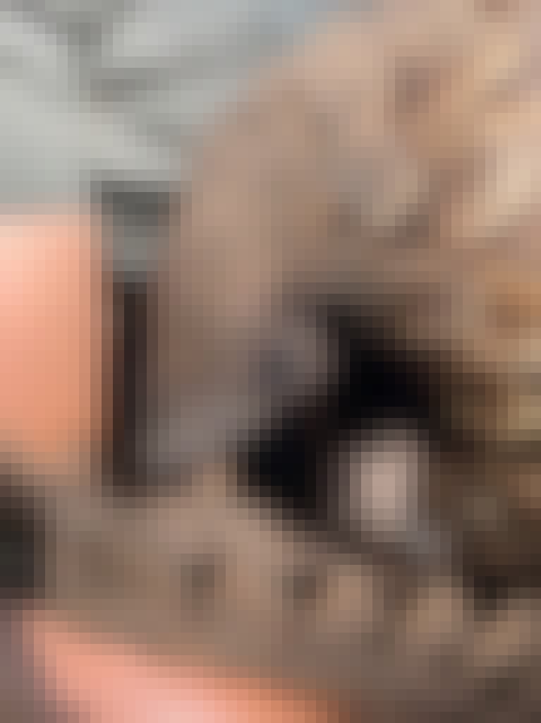 Frances Watson: close-up of a pangolin