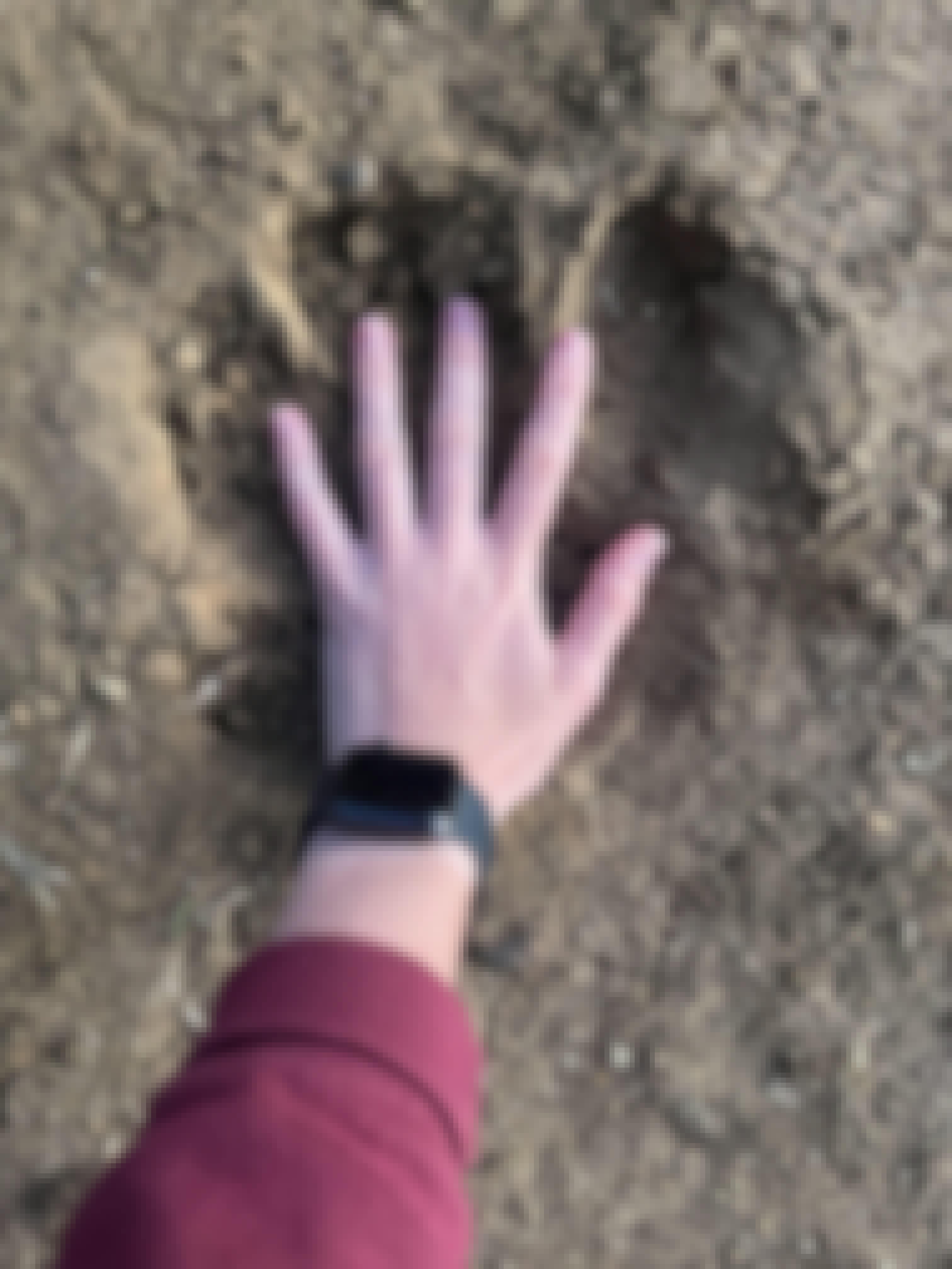 Savannah de Mare: hands over track