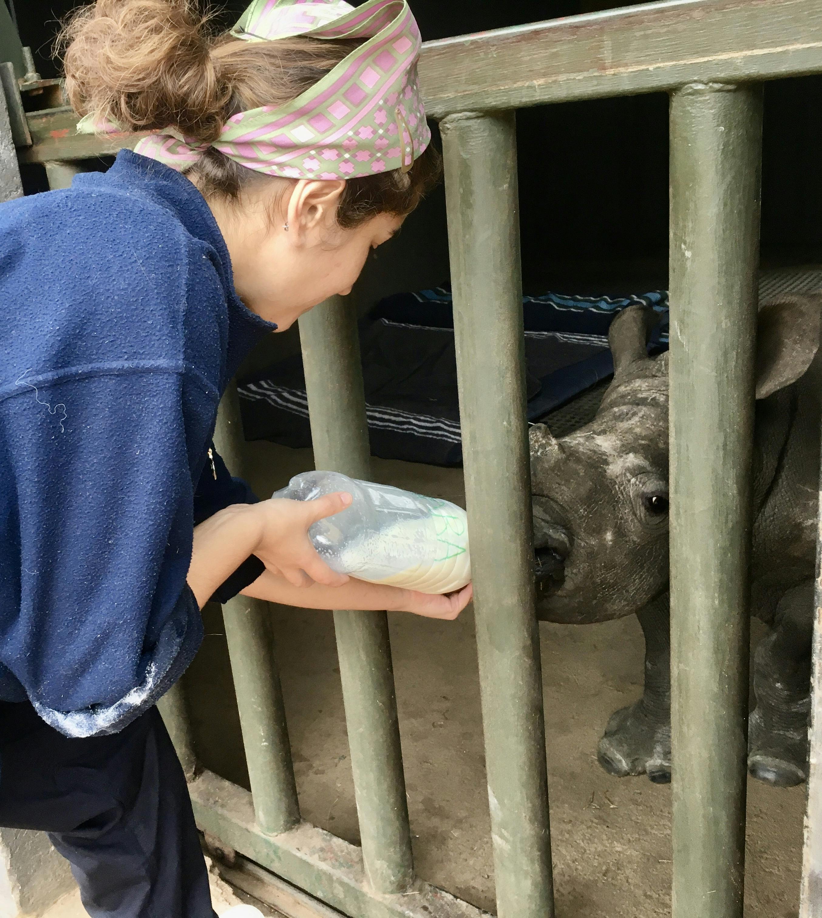 Rachele Stoppoloni: bottle feeding a baby rhino