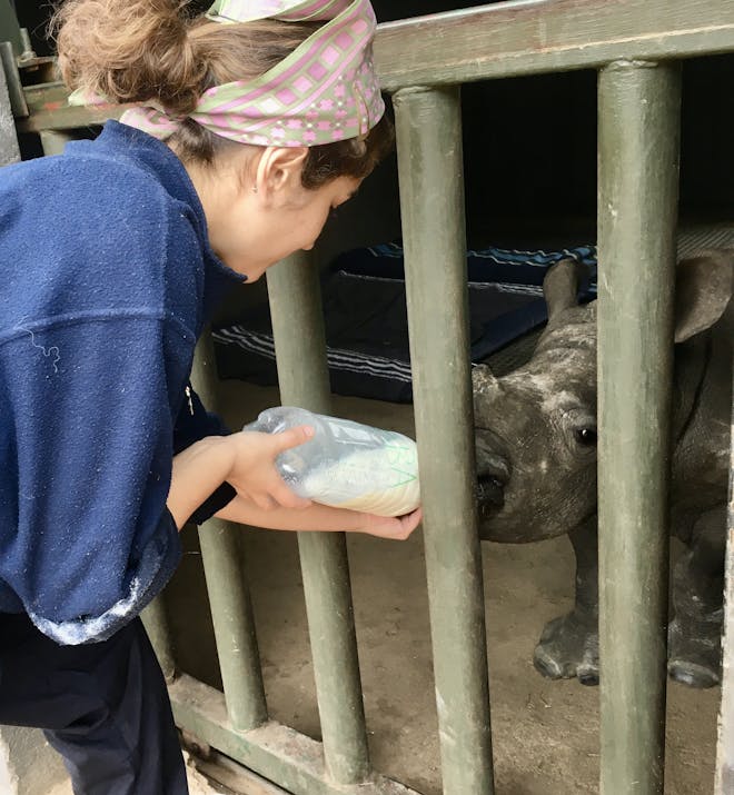 Rachele Stoppoloni: bottle feeding a baby rhino