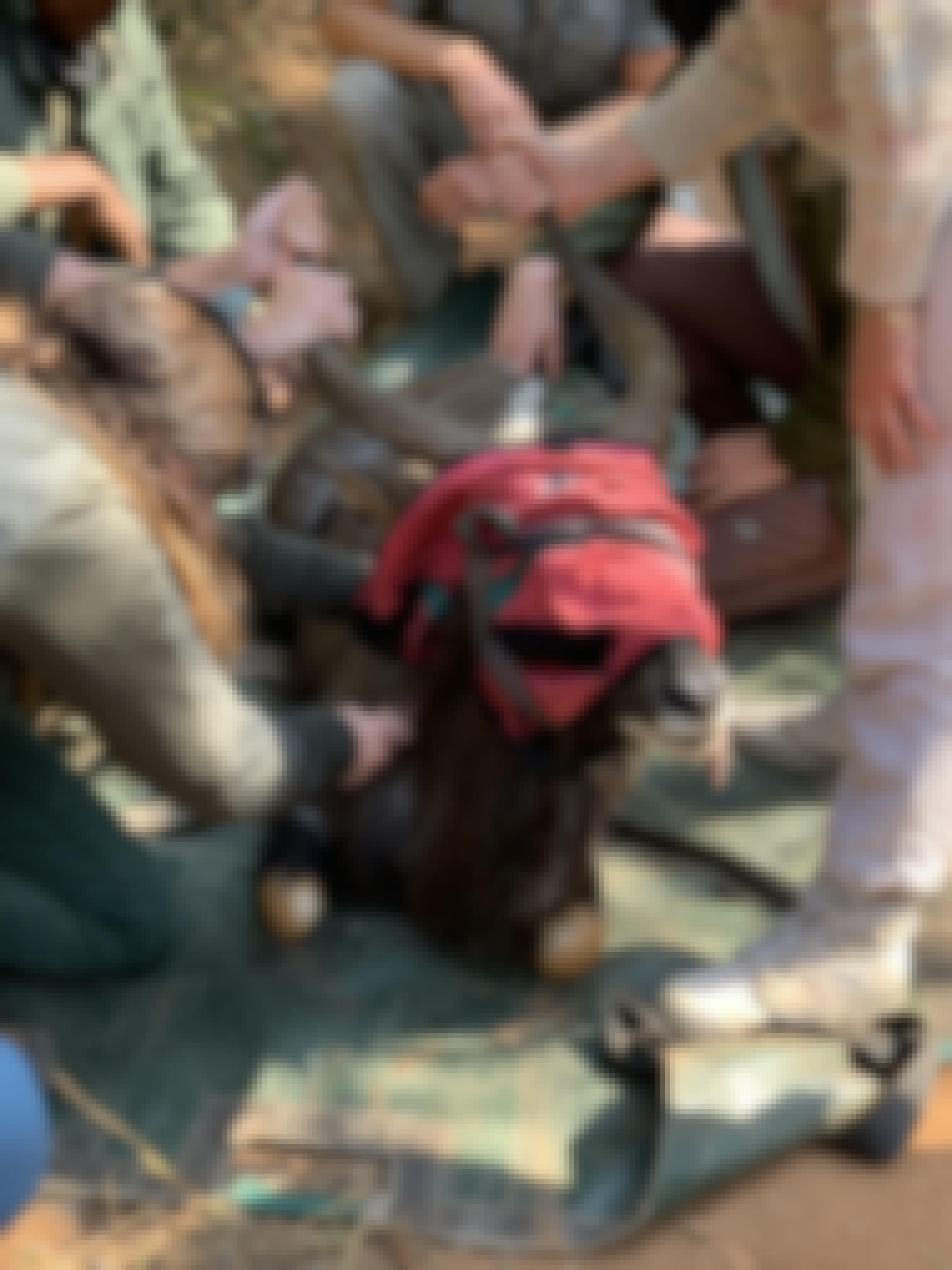 Siske Loggie: veterinary work on a sedated nyala