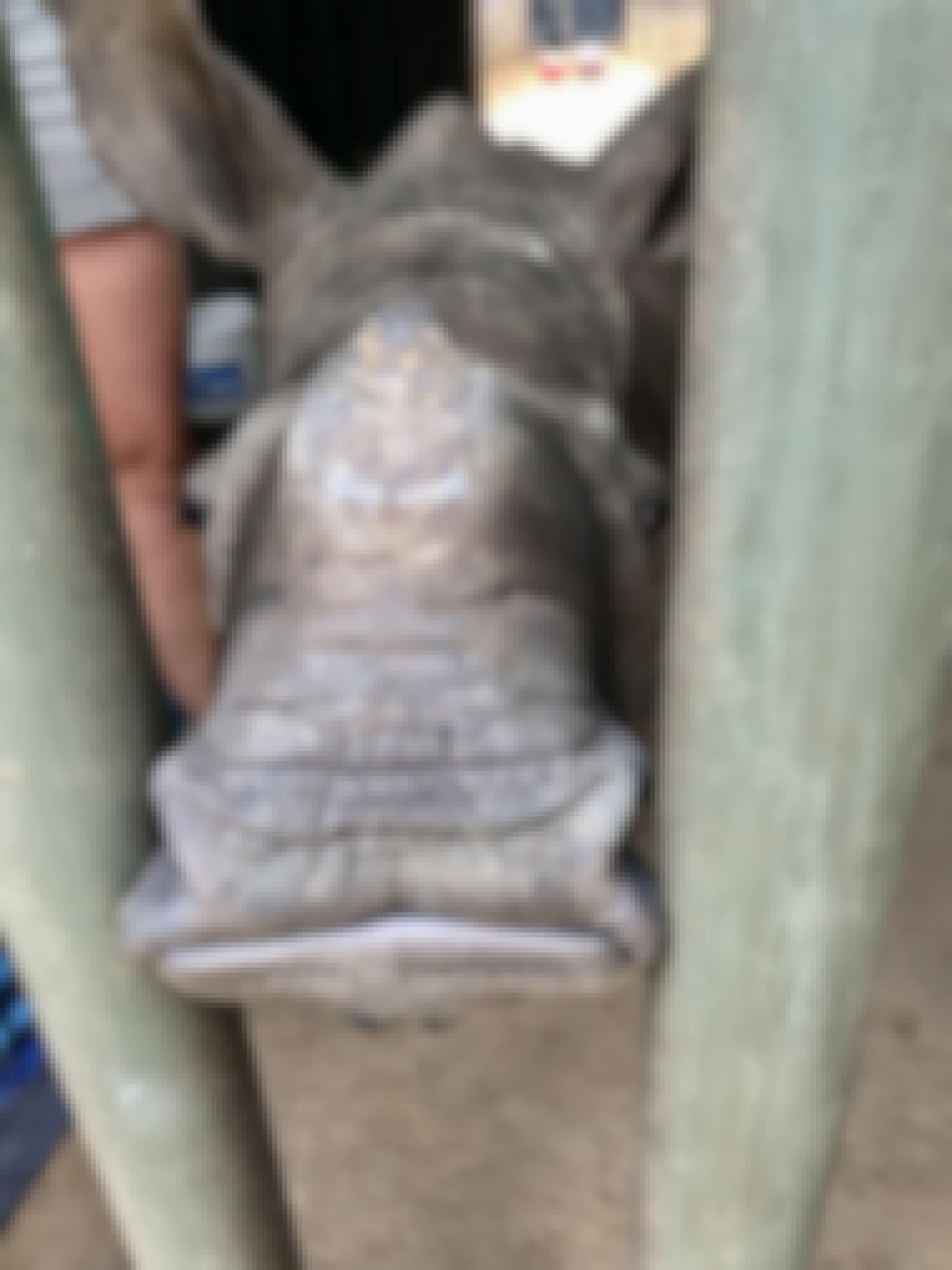 Rachele Stoppoloni: close-up of a baby rhino