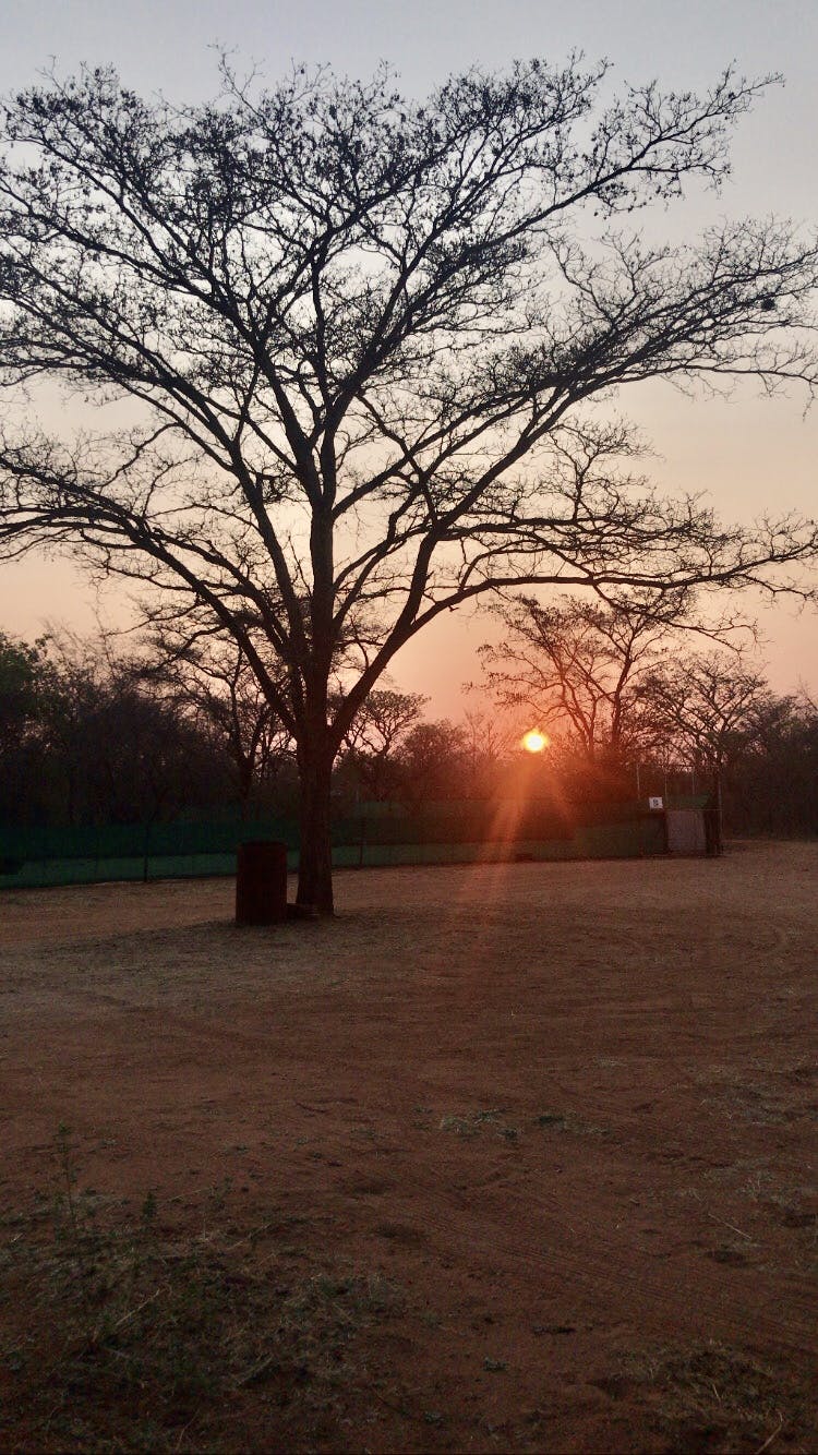 Rachele Stoppoloni: sunset