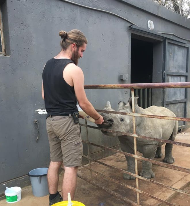 Lucas Zermatten: feeding a baby rhino