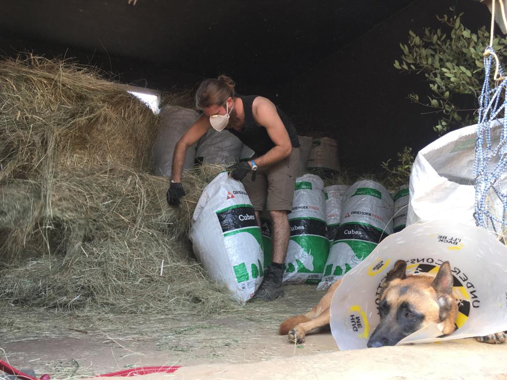 Lucas Zermatten: preparing food for the rhinos at Golola Rhino Orphanage