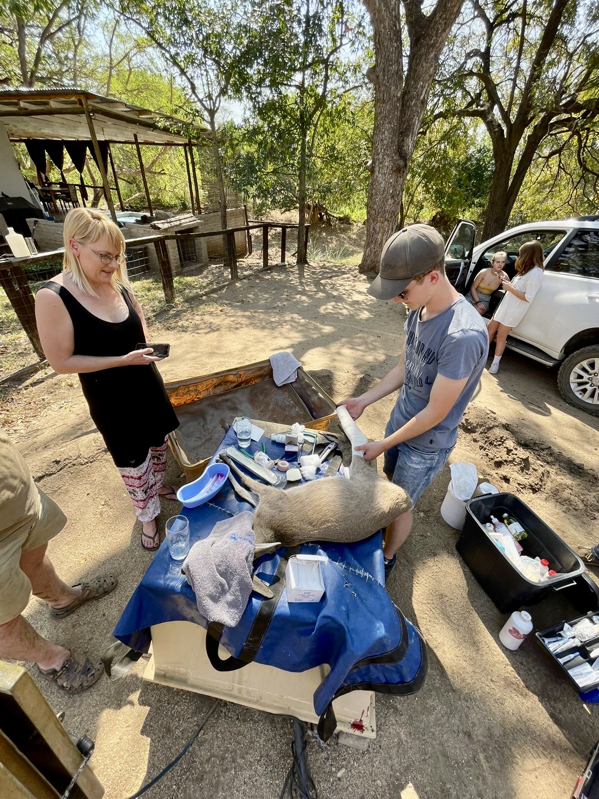 Pieter Kok: assisting the vet