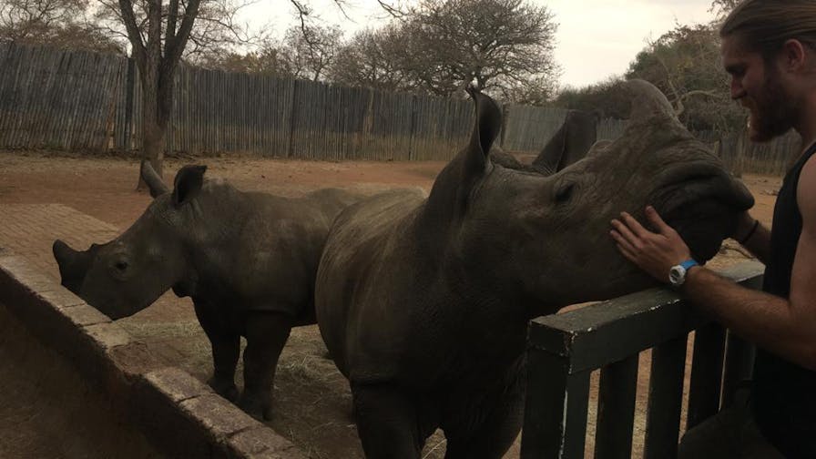 Lucas Zermatten: petting rhino