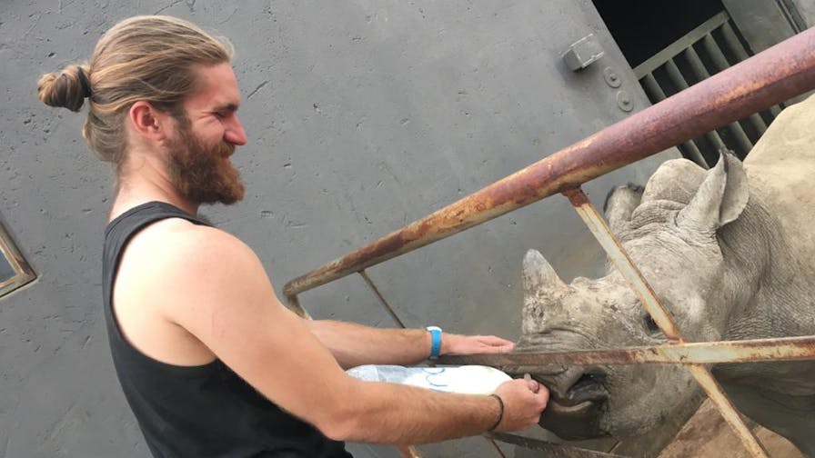 Lucas Zermatten: bottle feeding a rhino