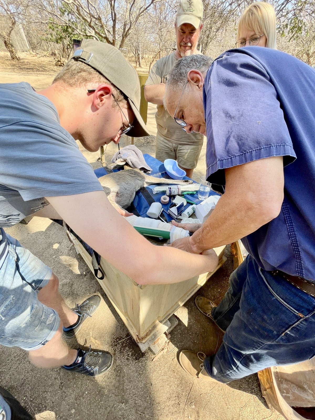 Pieter Kok: assisting a vet in the field