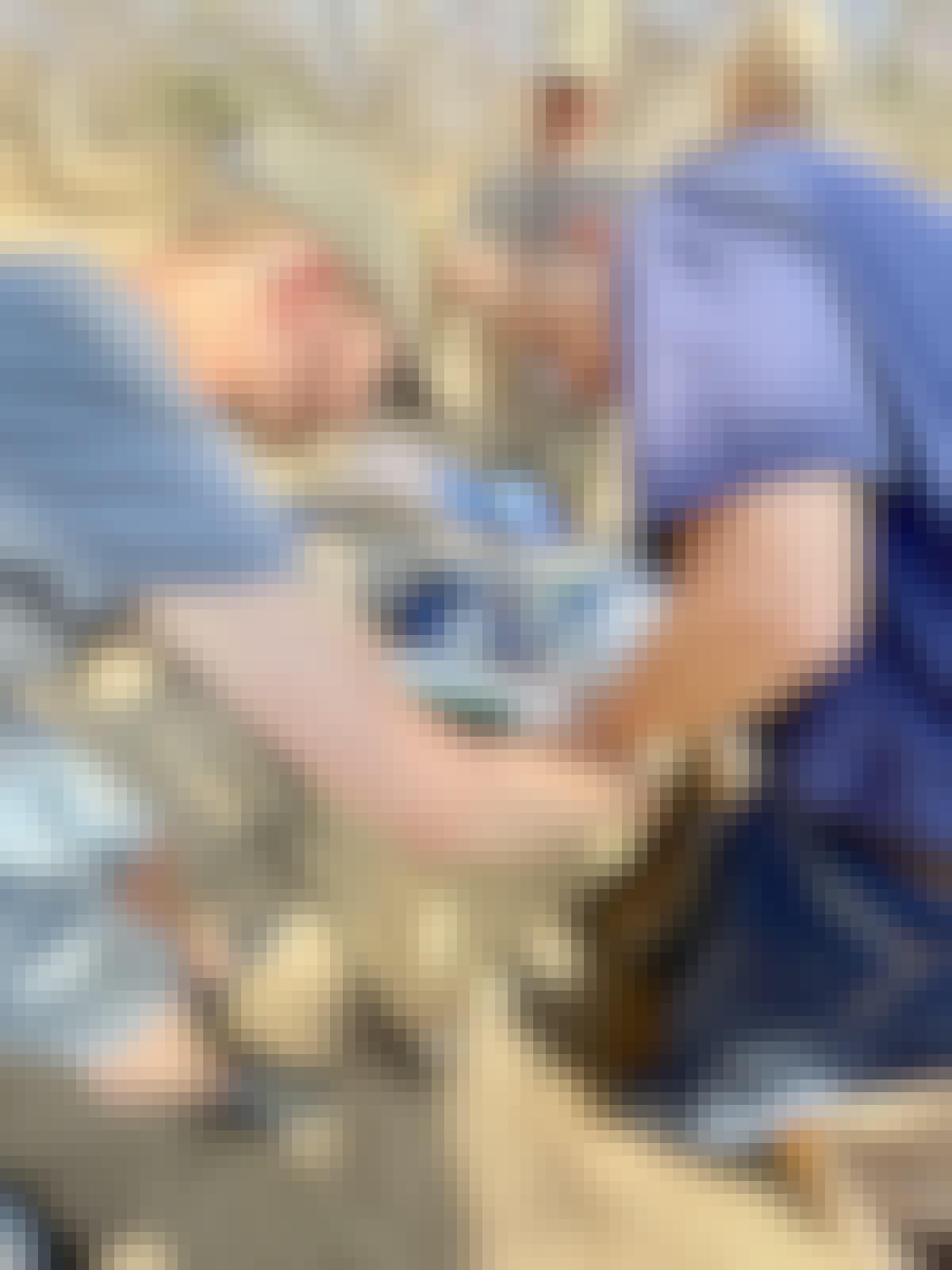 Pieter Kok: assisting a vet in the field
