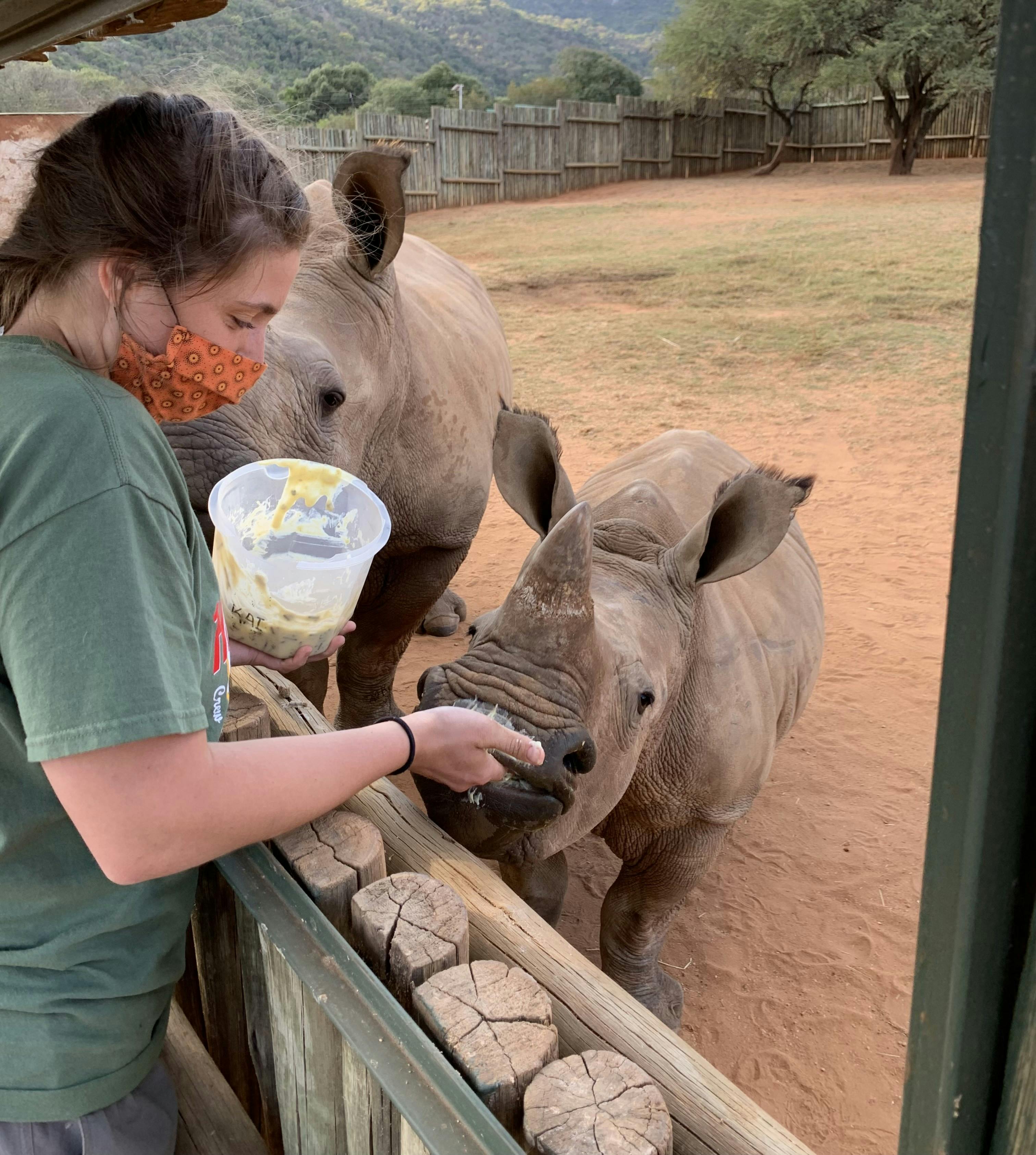 Rebecca Johanns: feeding a baby rhino