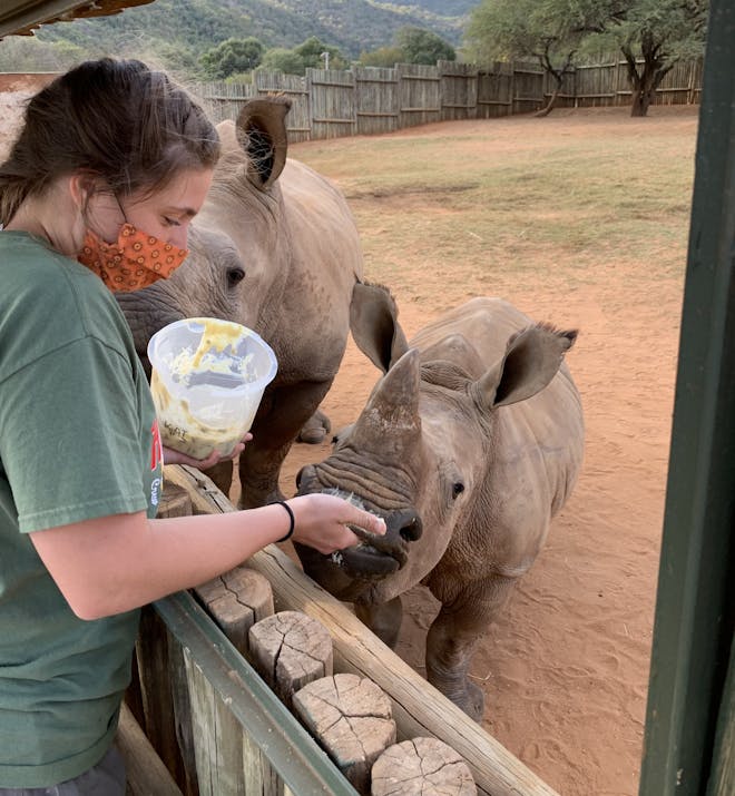 Rebecca Johanns: feeding a baby rhino