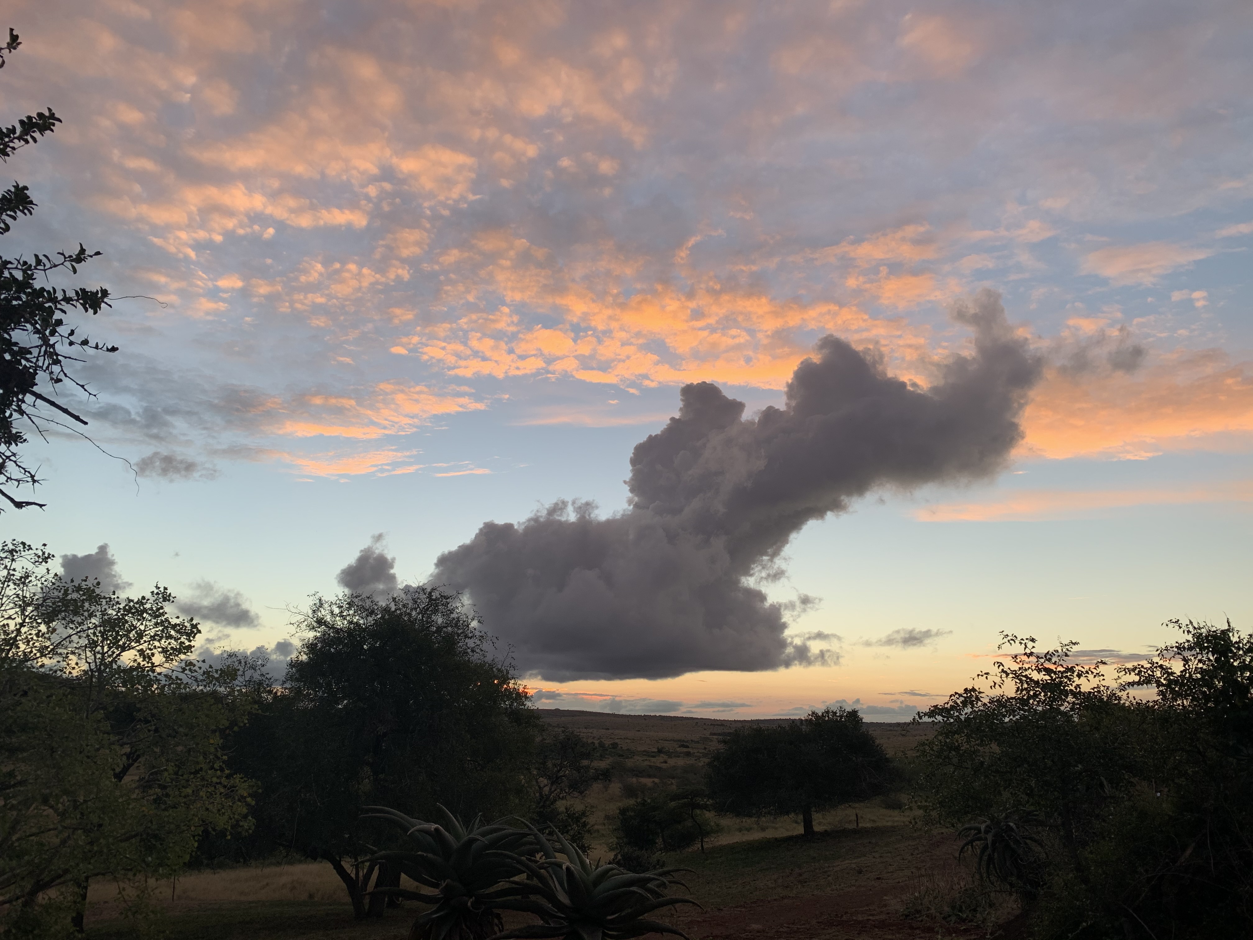 Siske Loggie: landscape