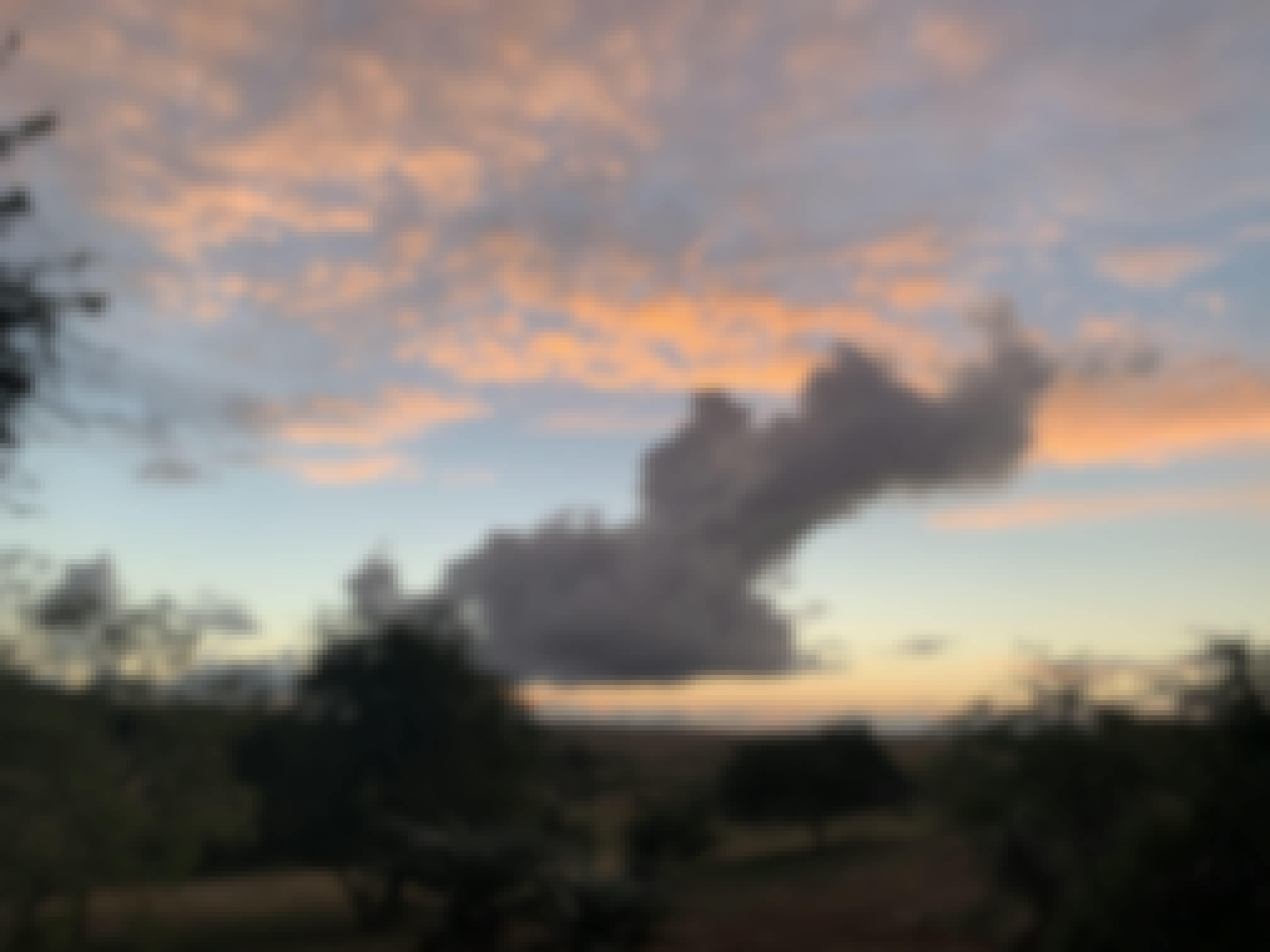 Siske Loggie: landscape