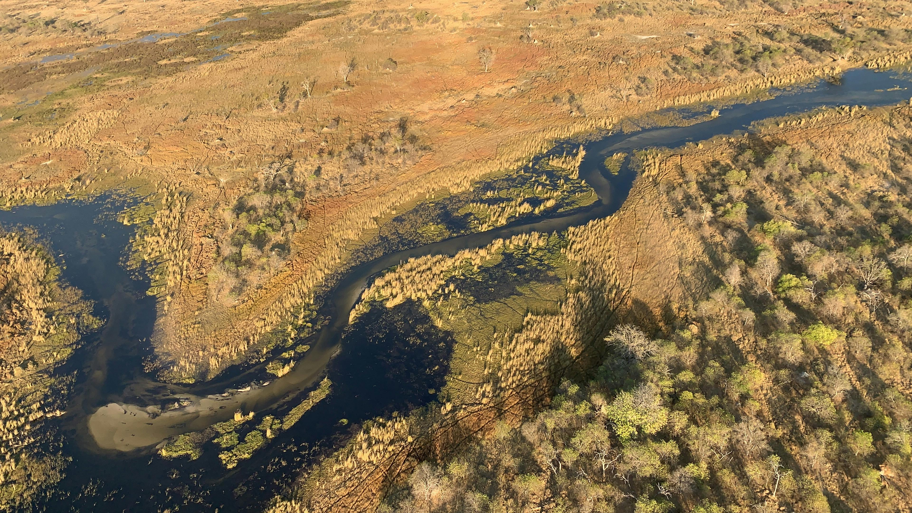 Siske Loggie: aerial view of the Okavango Delta