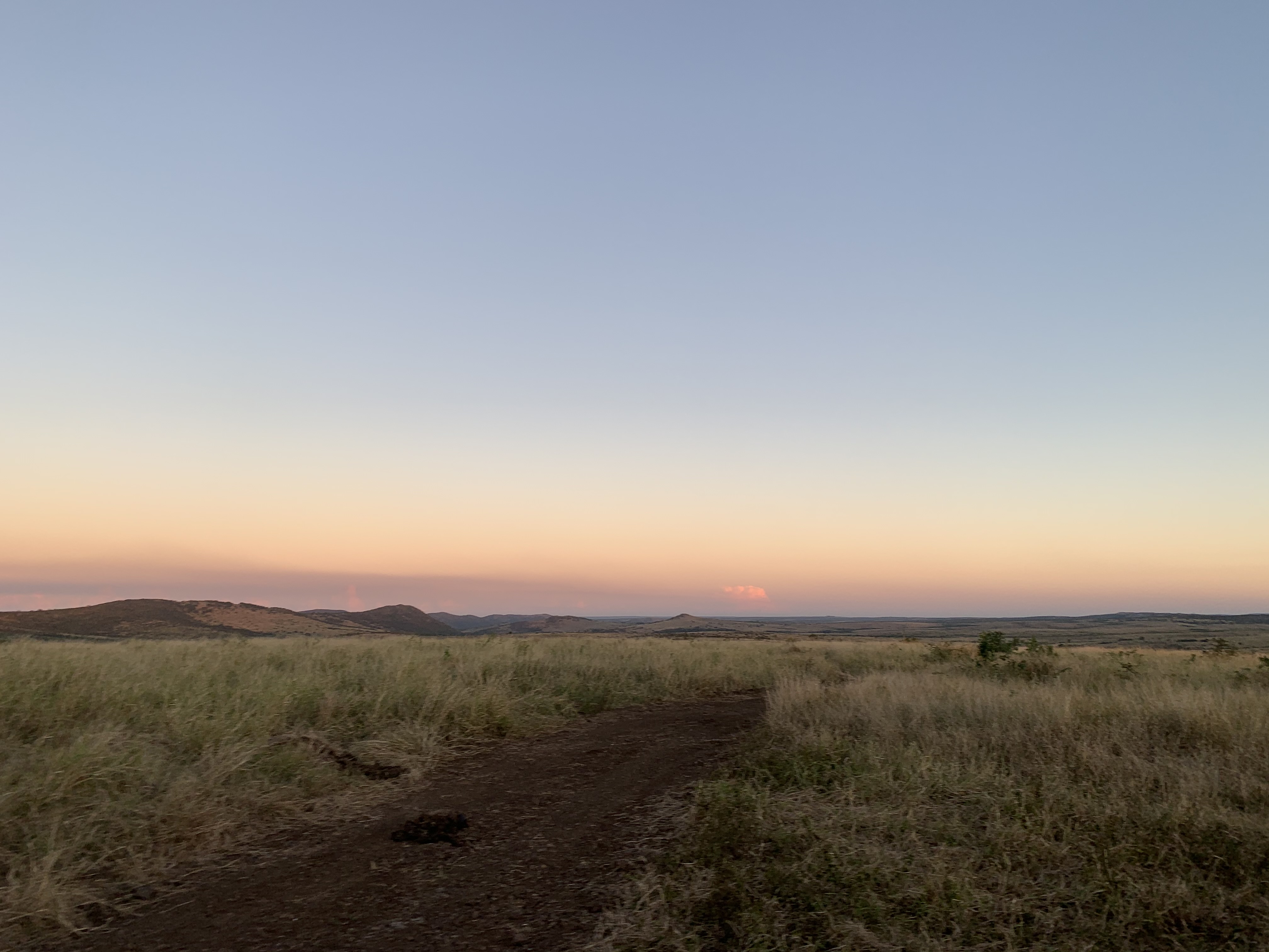 Siske Loggie: landscape