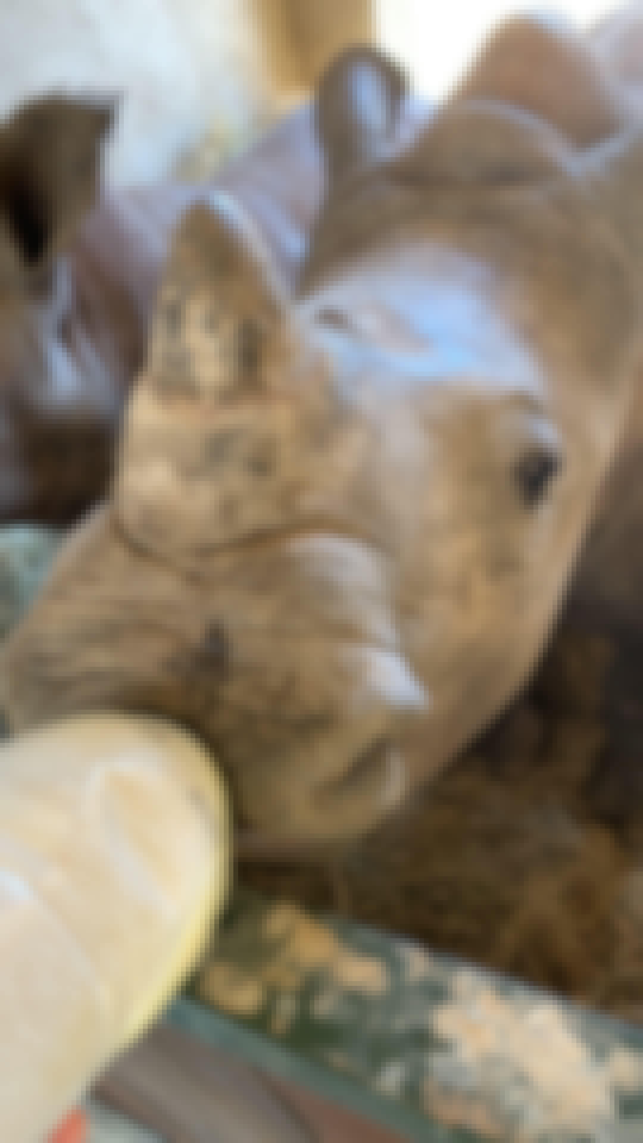 Siske Loggie: close-up of bottle feeding a rhino