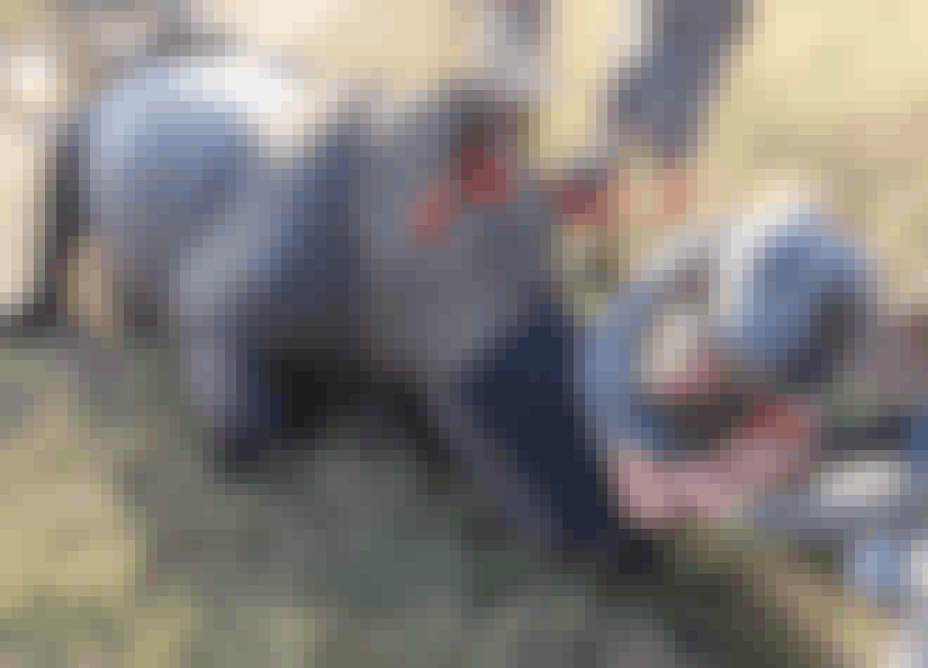 A rhino horn trimming at Phinda 