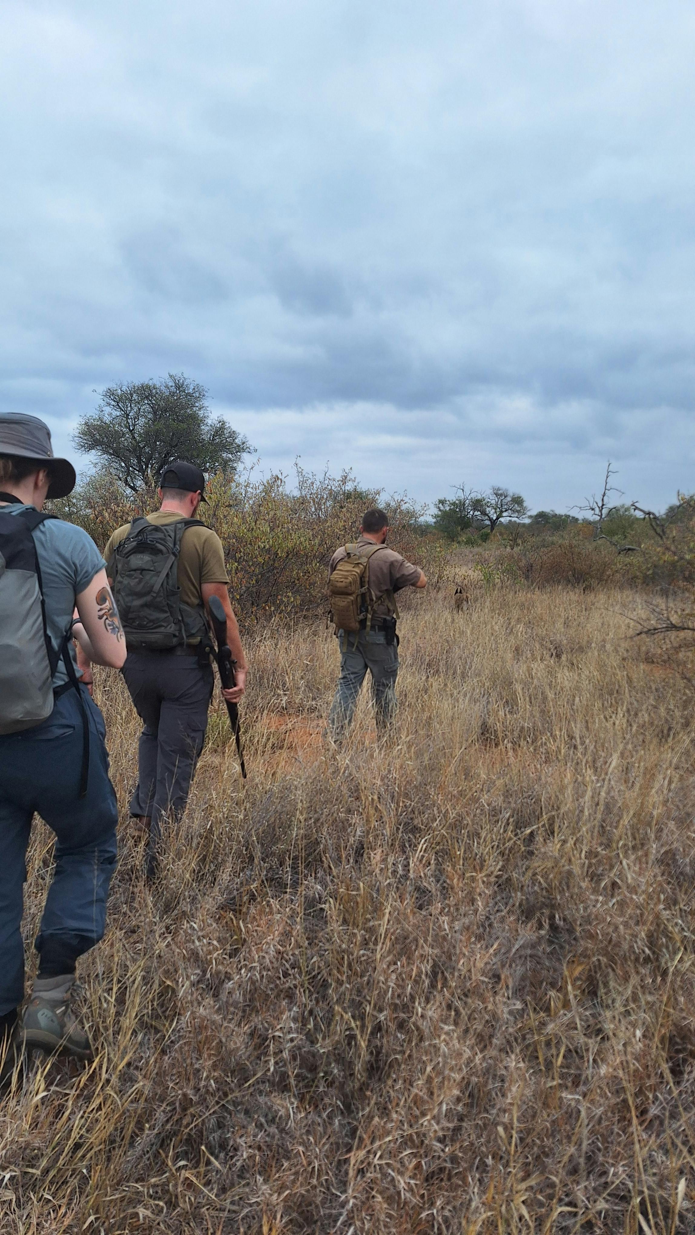 Christopher McMahon: A group walking through the Kruger