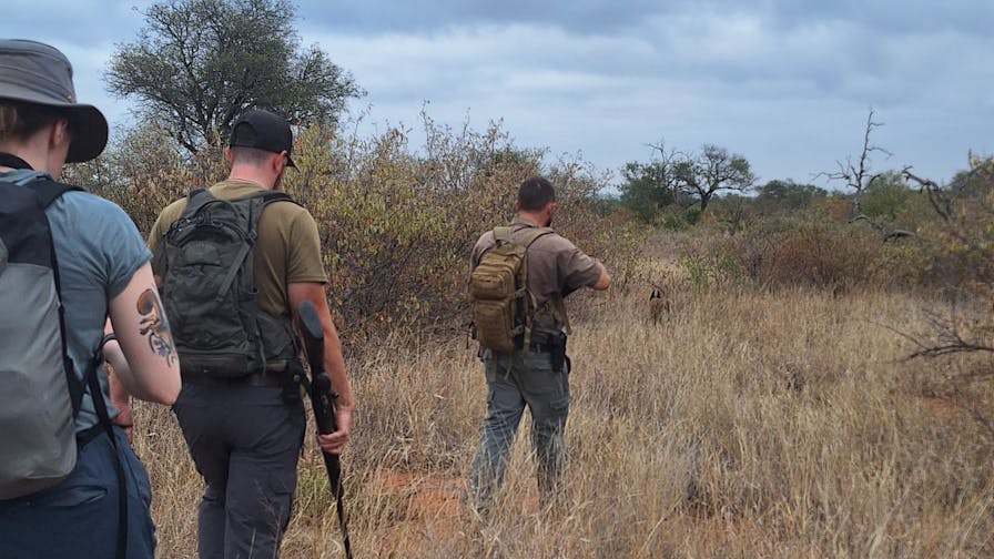Christopher McMahon: A group walking through the Kruger