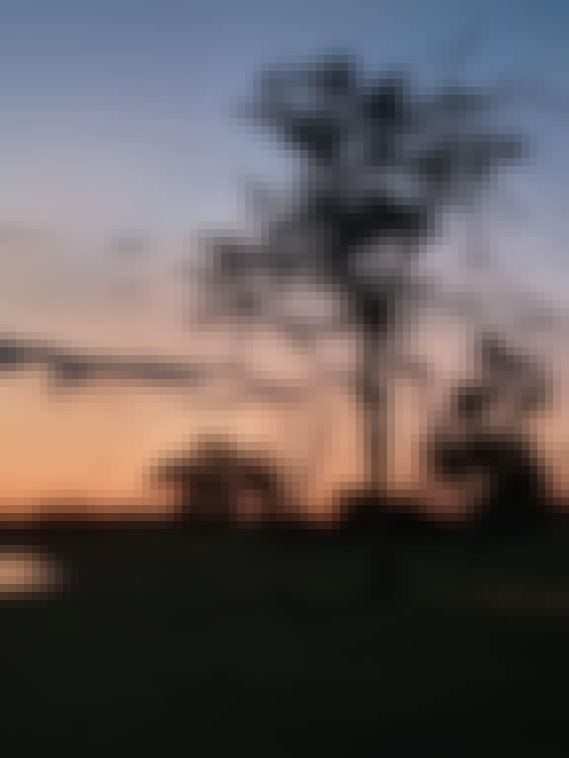 Margaret Houghton: A landscape in Okavango