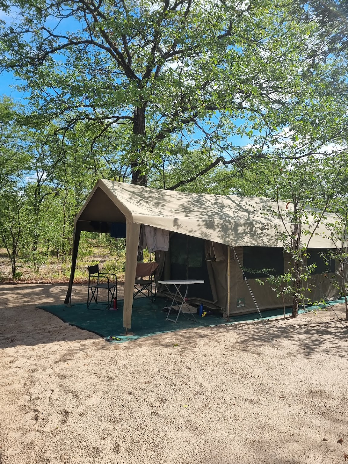 Margaret Houghton: tented accommodation in the Okavango 