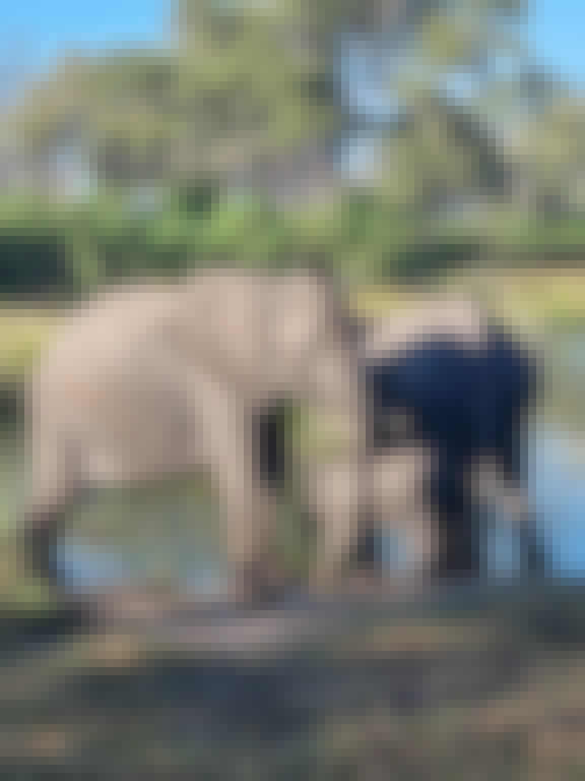 Margaret Houghton: elephant family in the Okavango