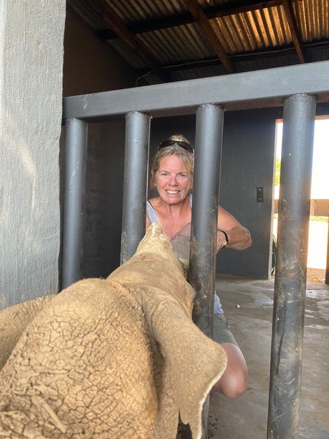 A female ACE volunteer feeding a baby rhino