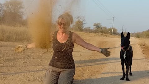 A female ACE volunteer working in the bush with a dog