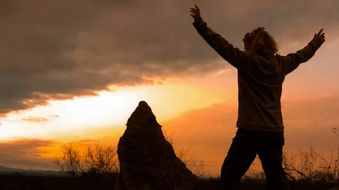 A female posing in front of a sunset
