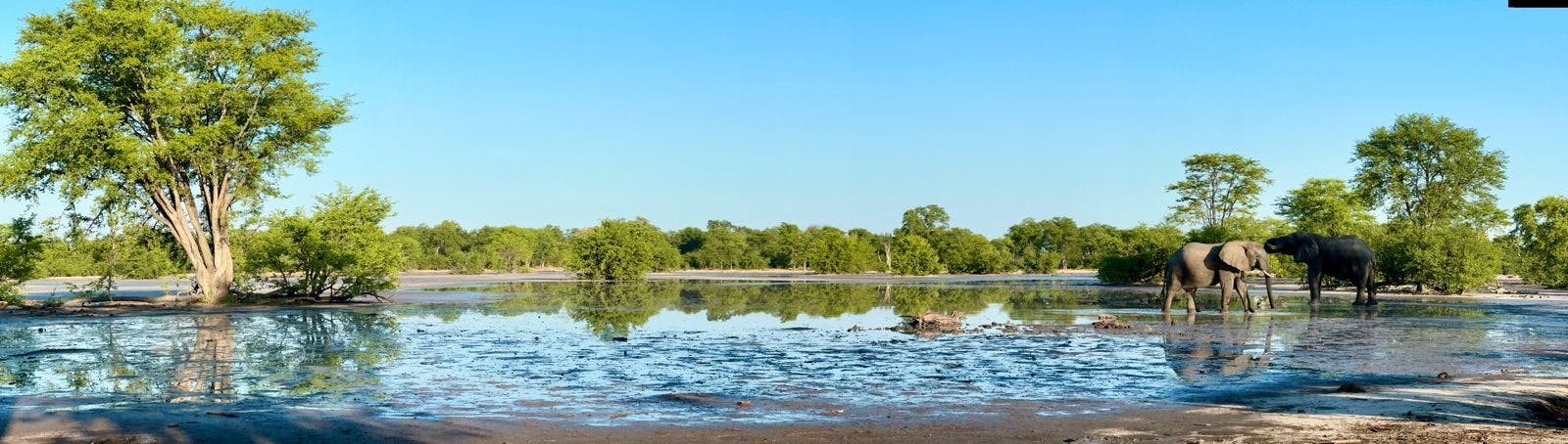 Okavango landscape shot