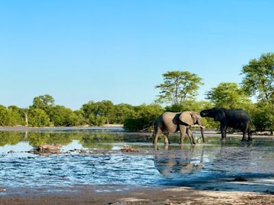 Josie and Adam: Okavango landscape shot