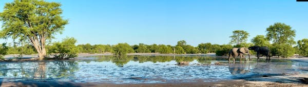 Okavango landscape shot