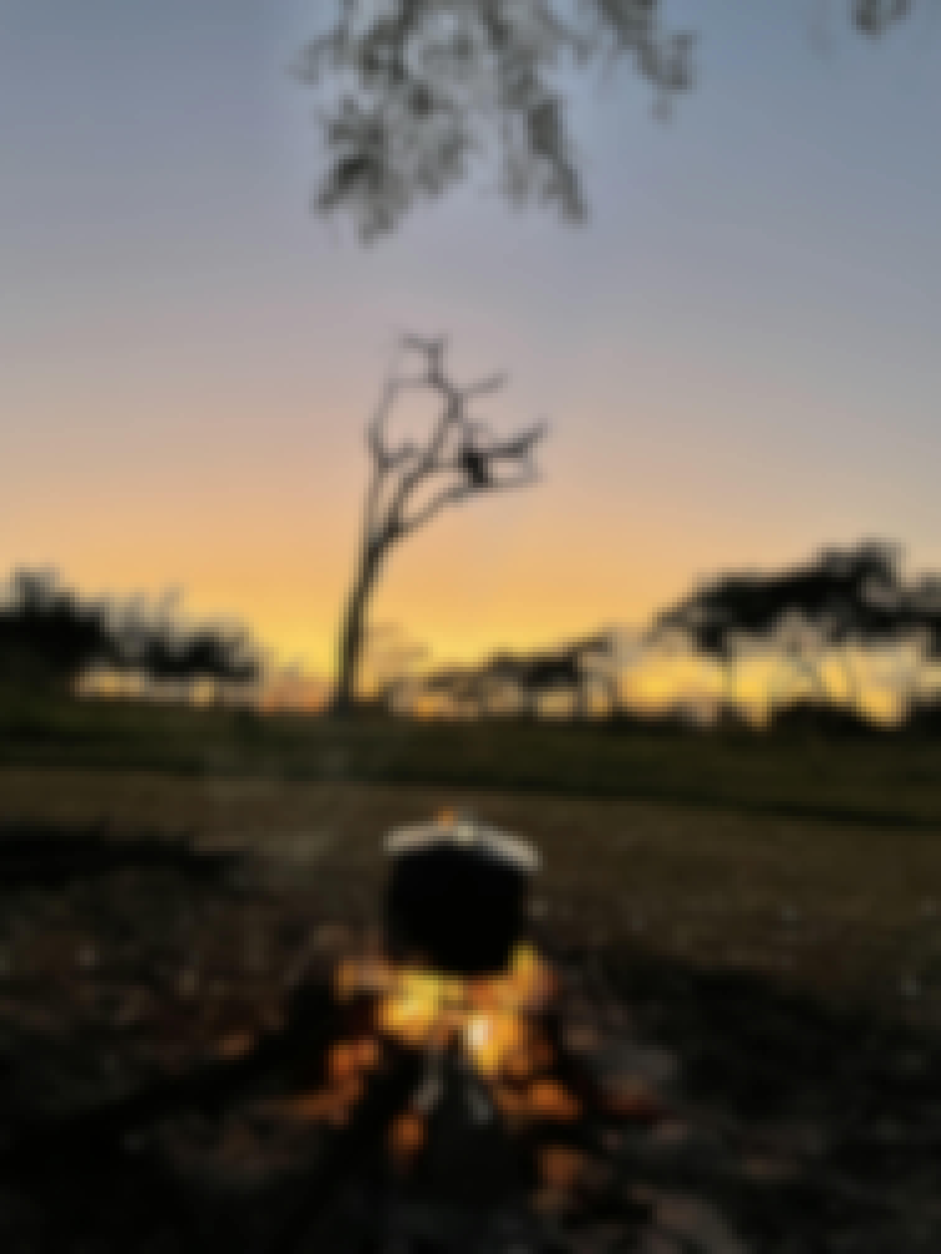 A campfire in the Okavango