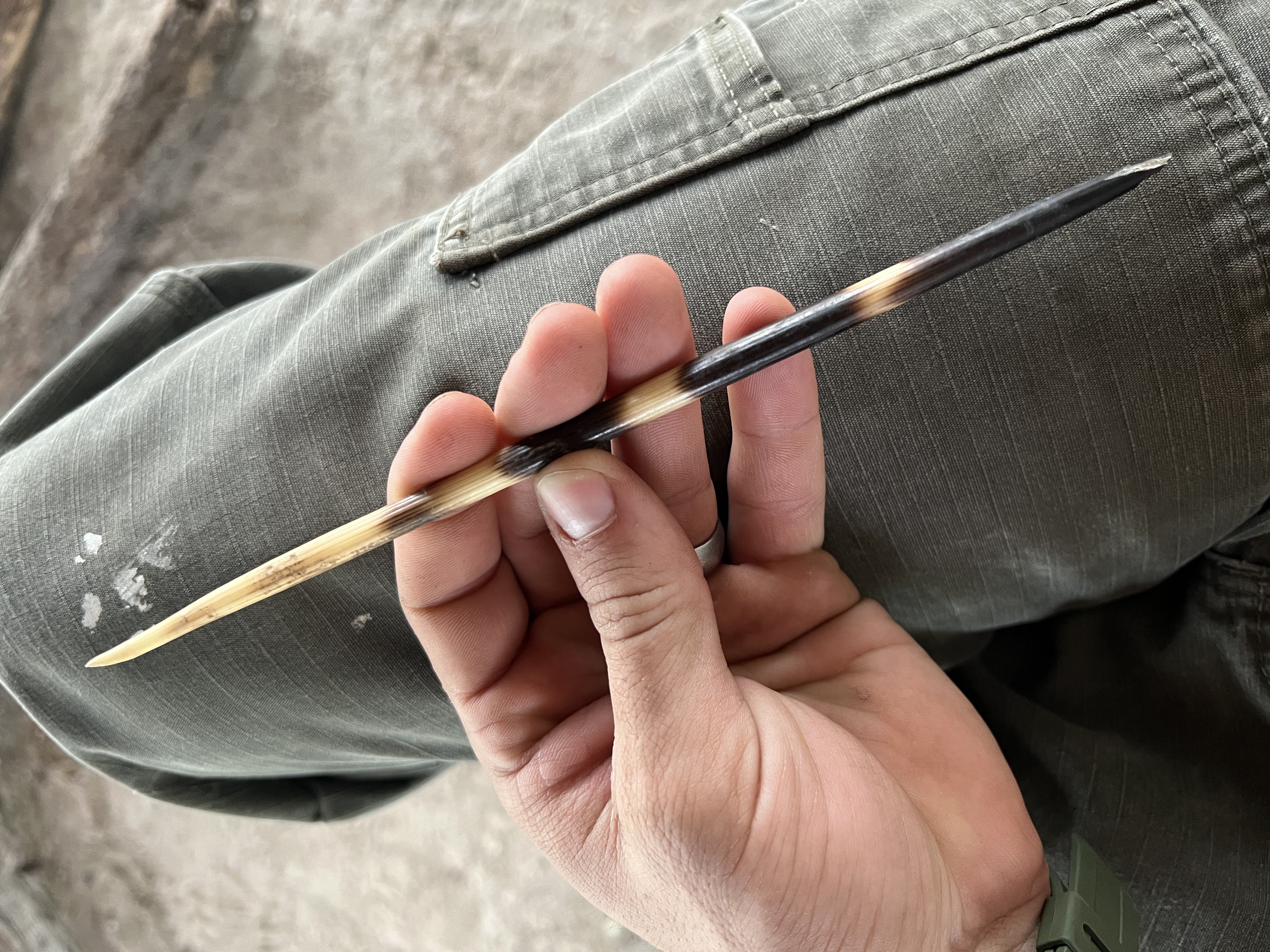 Josie and Adam: A porcupine quill