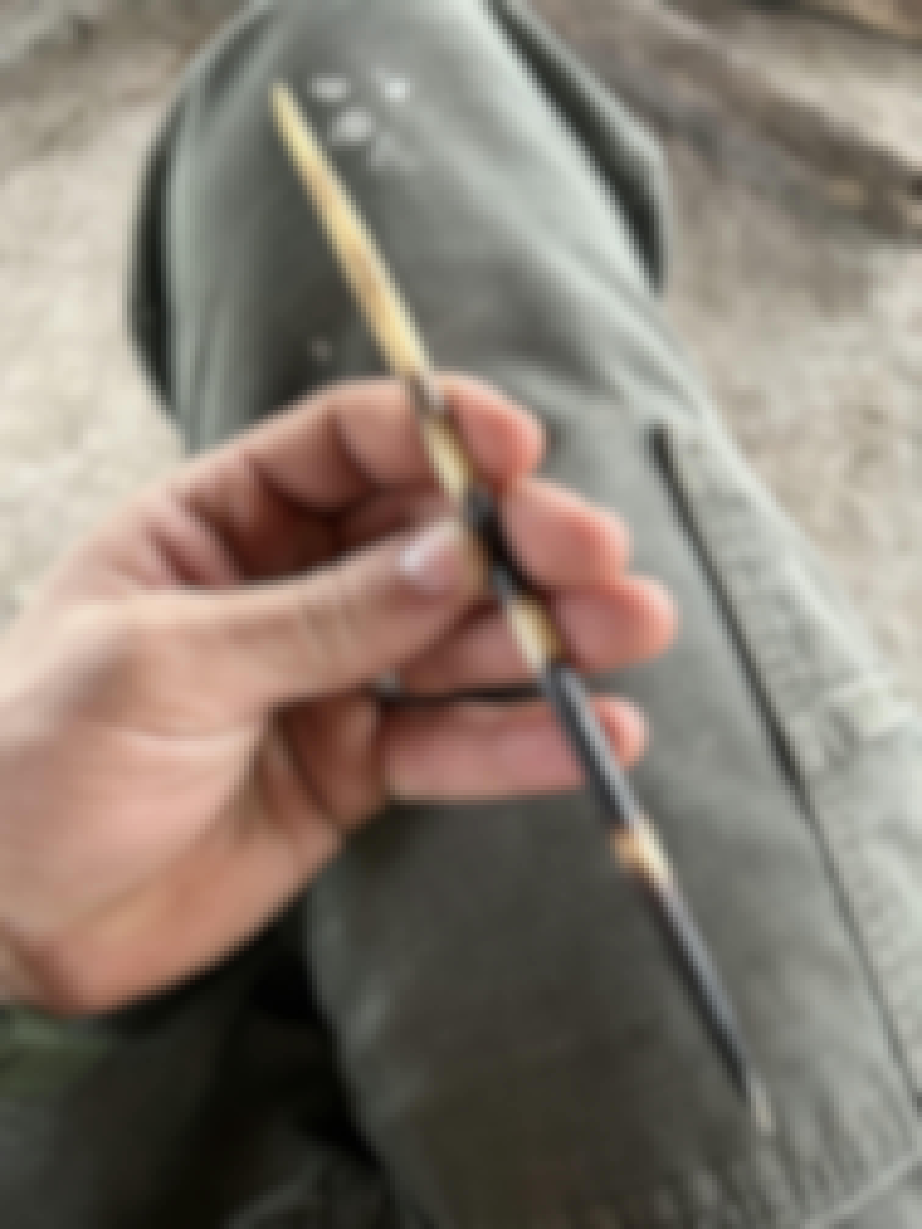 A porcupine quill