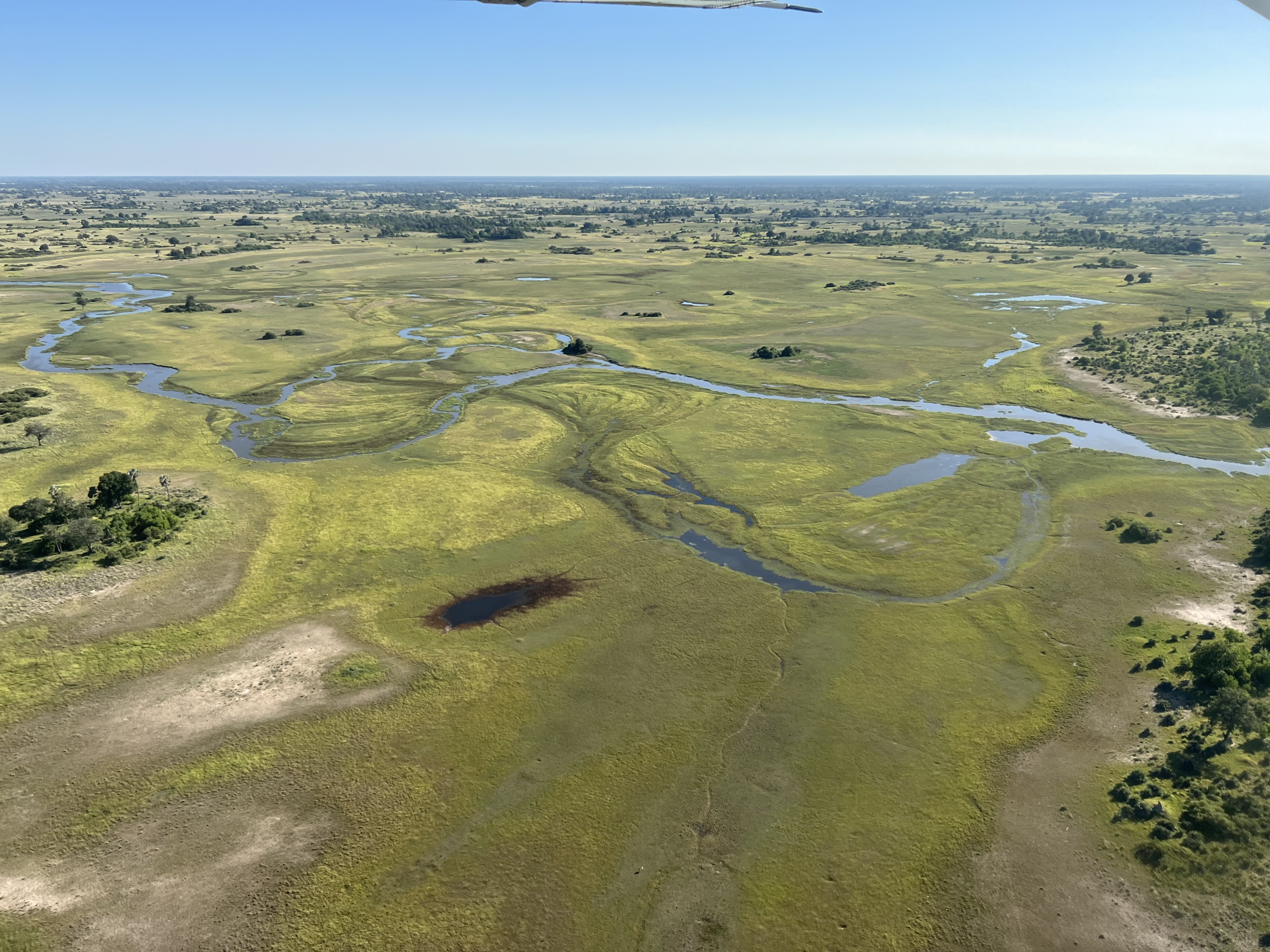 Josie and Adam: An aerial shot of the Okavango